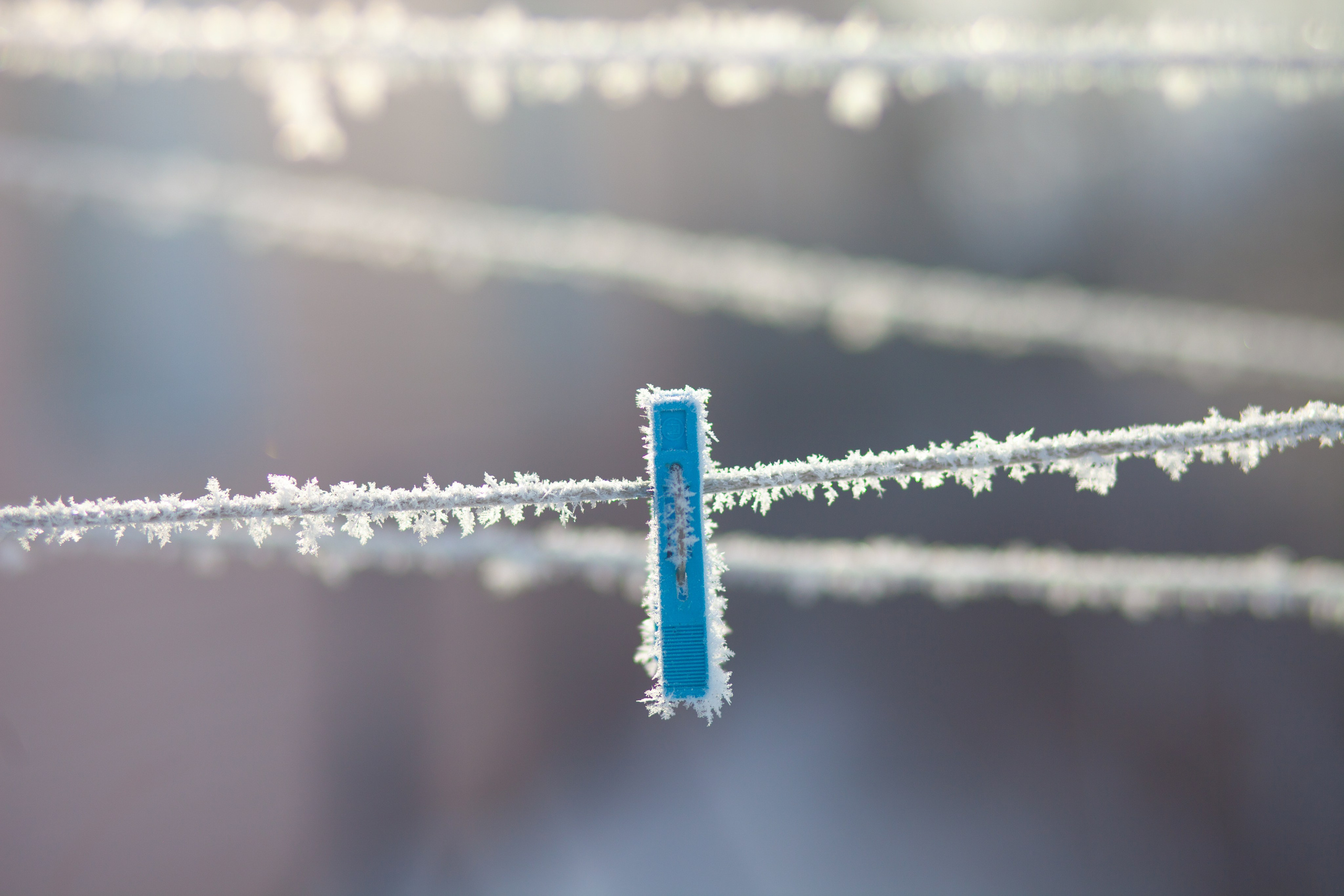 Улицы Люди на улицах Природа Животные — фотограф Оля Волчкова