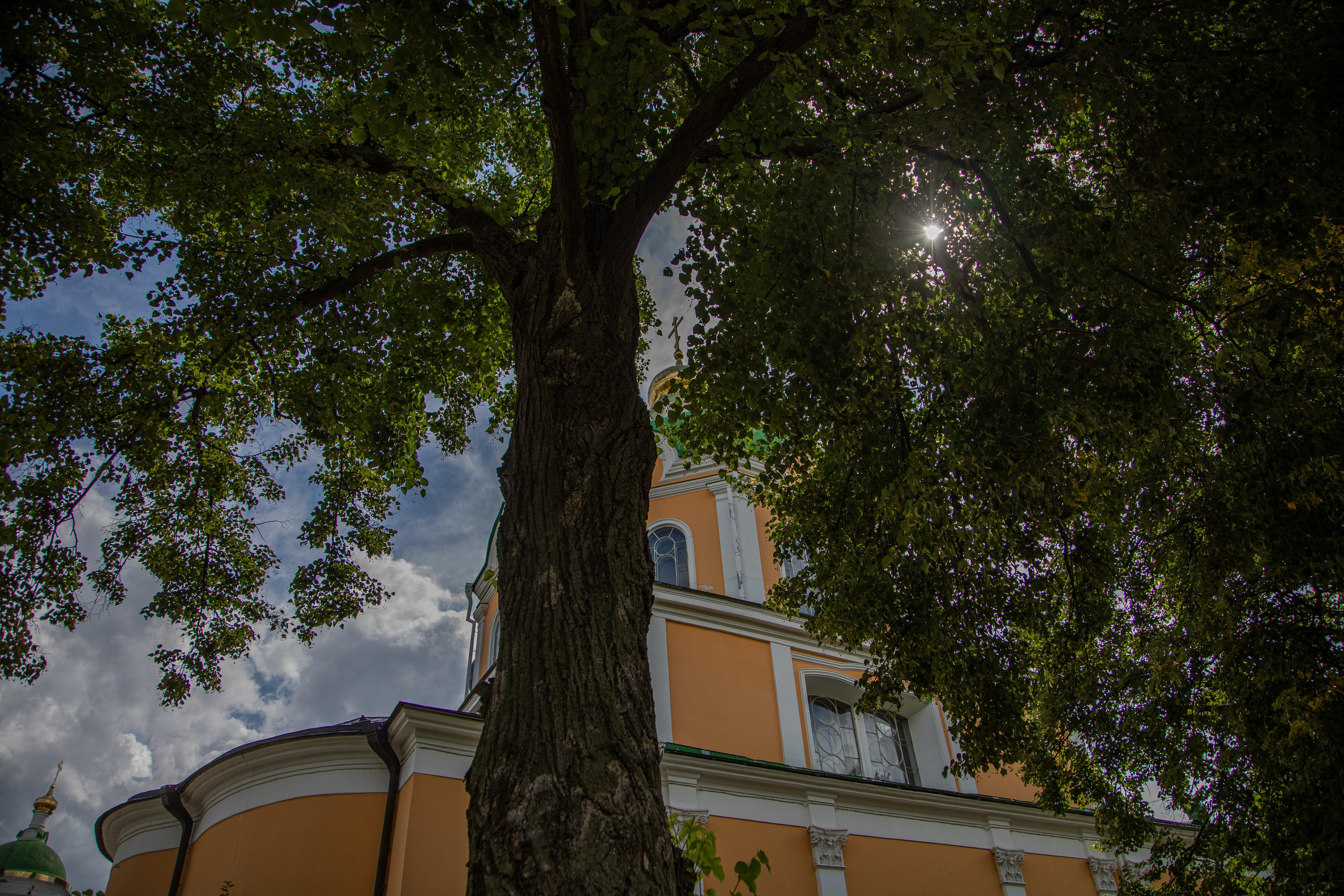 Рязань, август 2024. Фотограф Сергей Ловкий