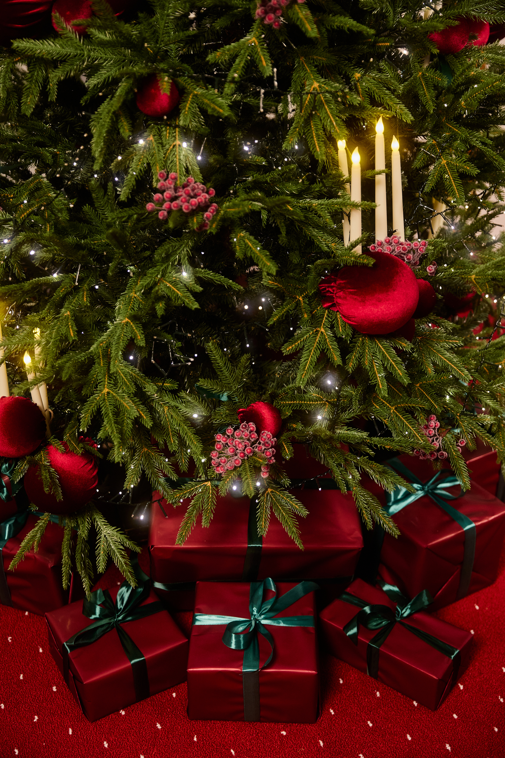 Фотостудия MAI — всё для комфортной и красивой съёмки. Фотограф в Минске Людмила Дутко