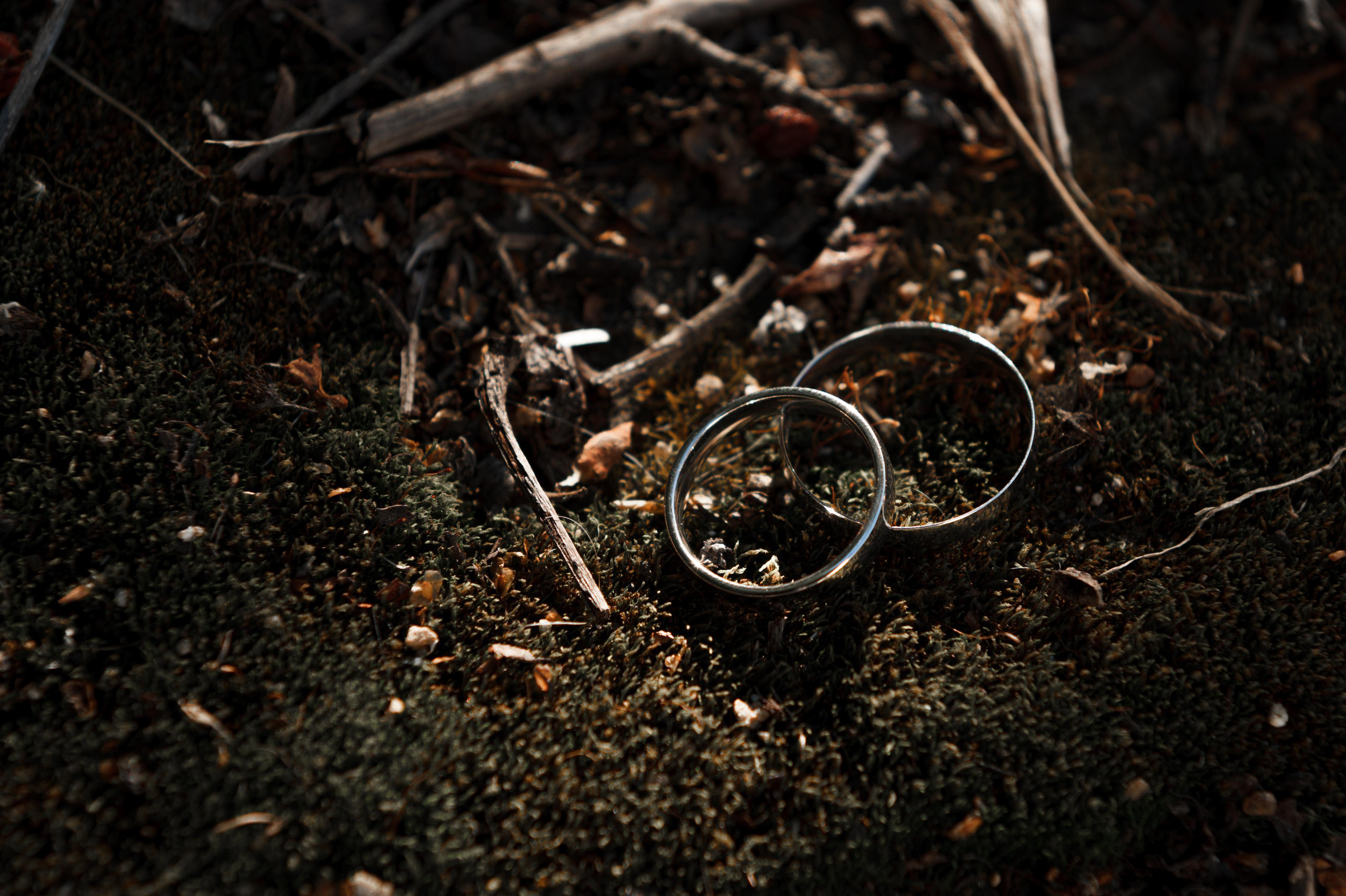 Фотограф Сергей Некрасов