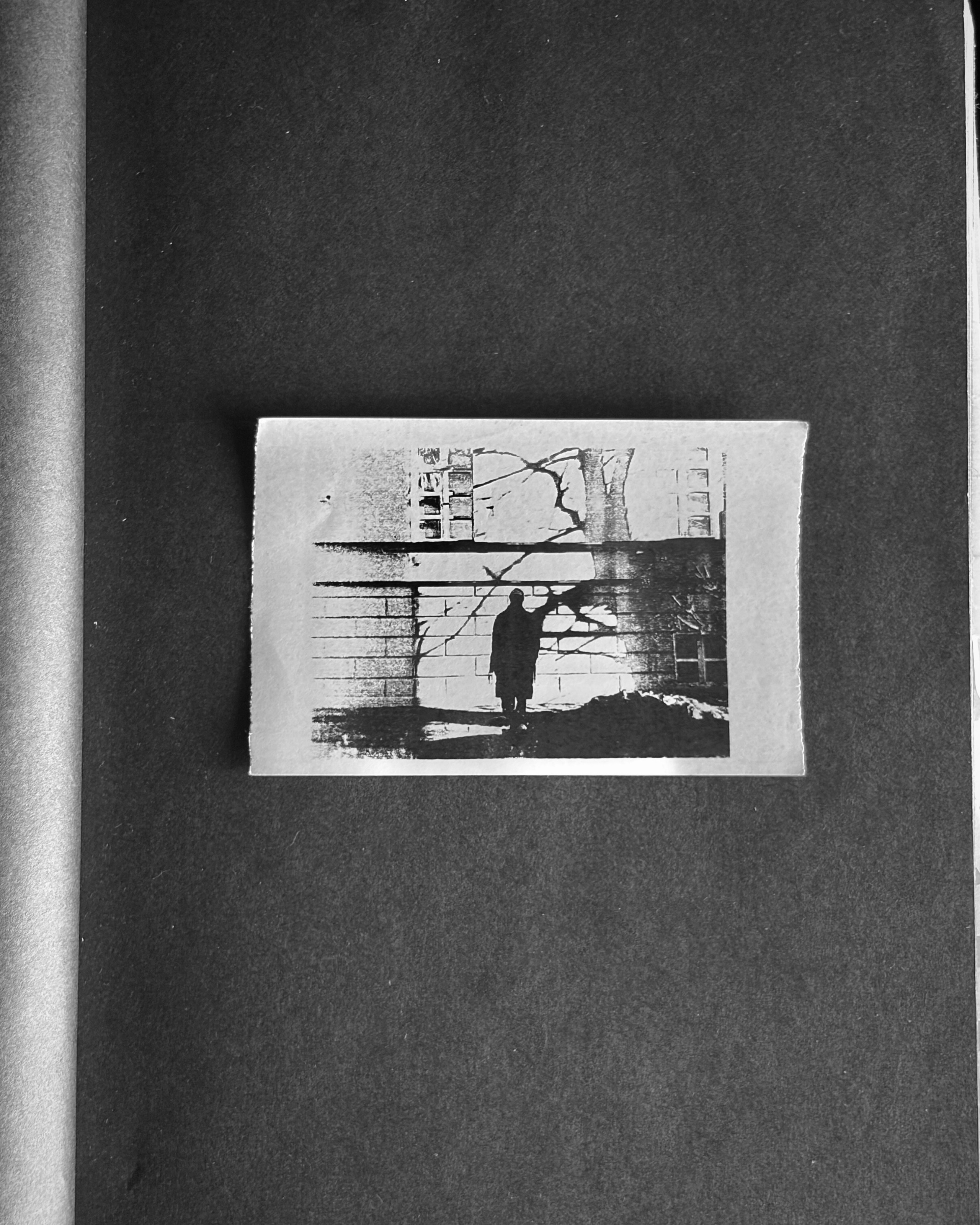 Fade. Художественная фотография. Фотография на плёнку. Илья Вараксин
