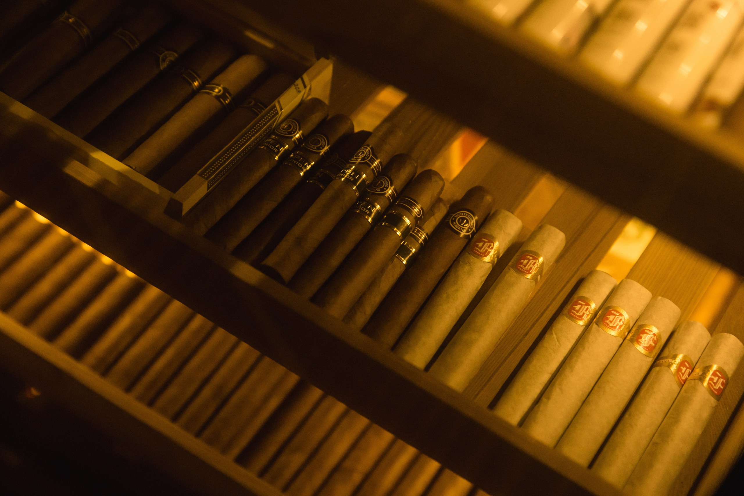 ХАБЛ БАБЛ | ДЕНЬ РОЖДЕНИЯ В СТИЛЕ «КАЗИНО». Фотограф в Сочи Екатерина Потапова