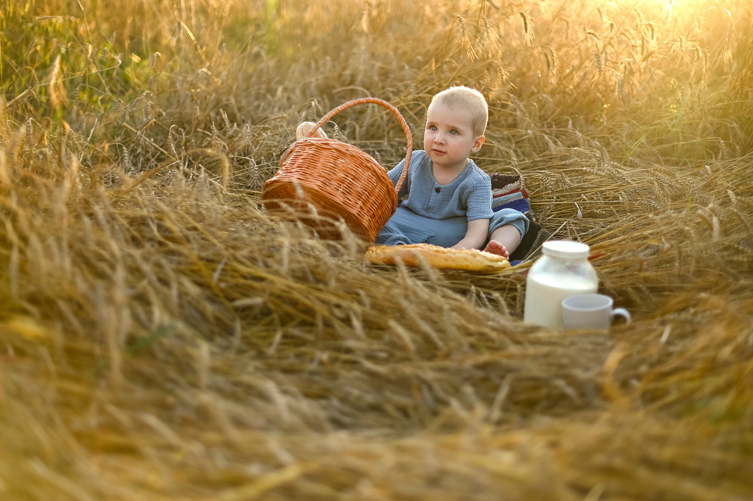 Пшеница. Детский и семейный фотограф г. Москва Оксана Катаджи