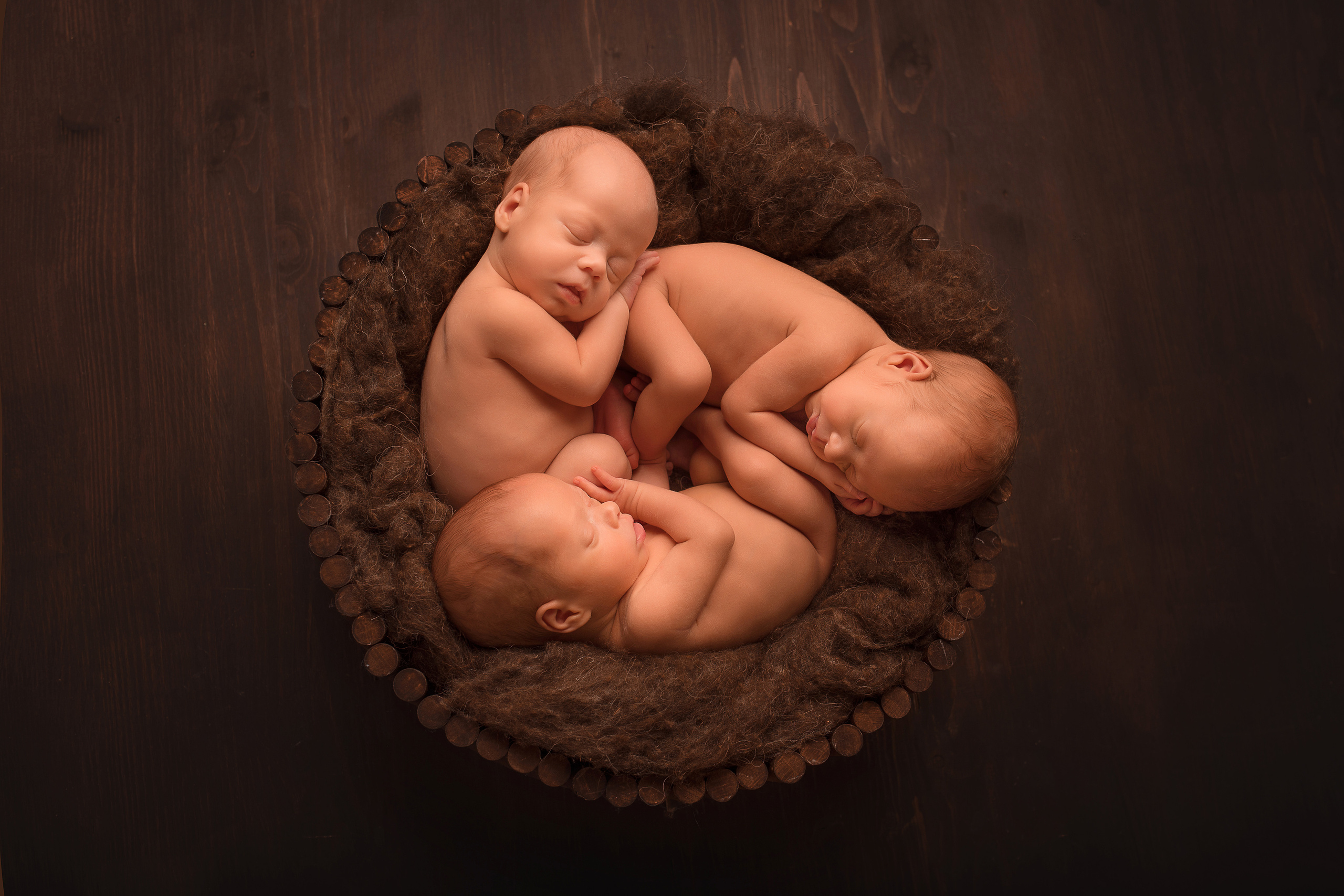 Фотограф новорожденных в Екатеринбурге Лена Ильина