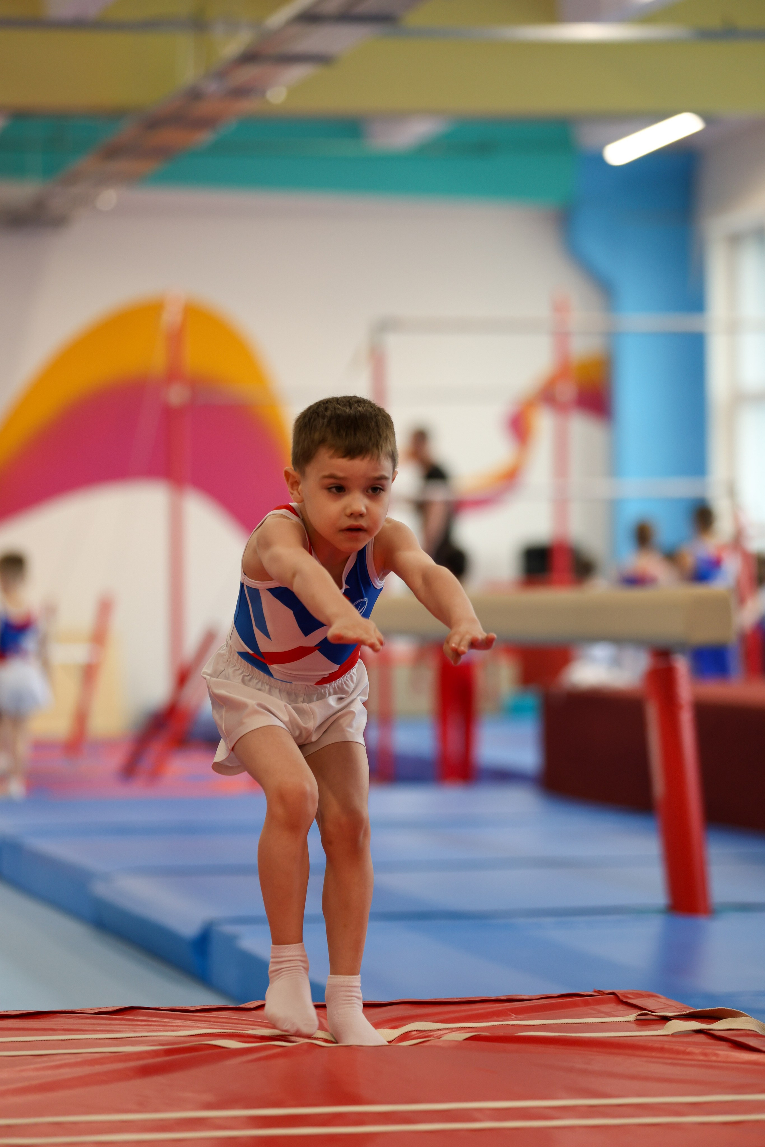 Спортивная гимнастика в школе Турнен. Фотограф в Москве портреты | репортажи | спорт
