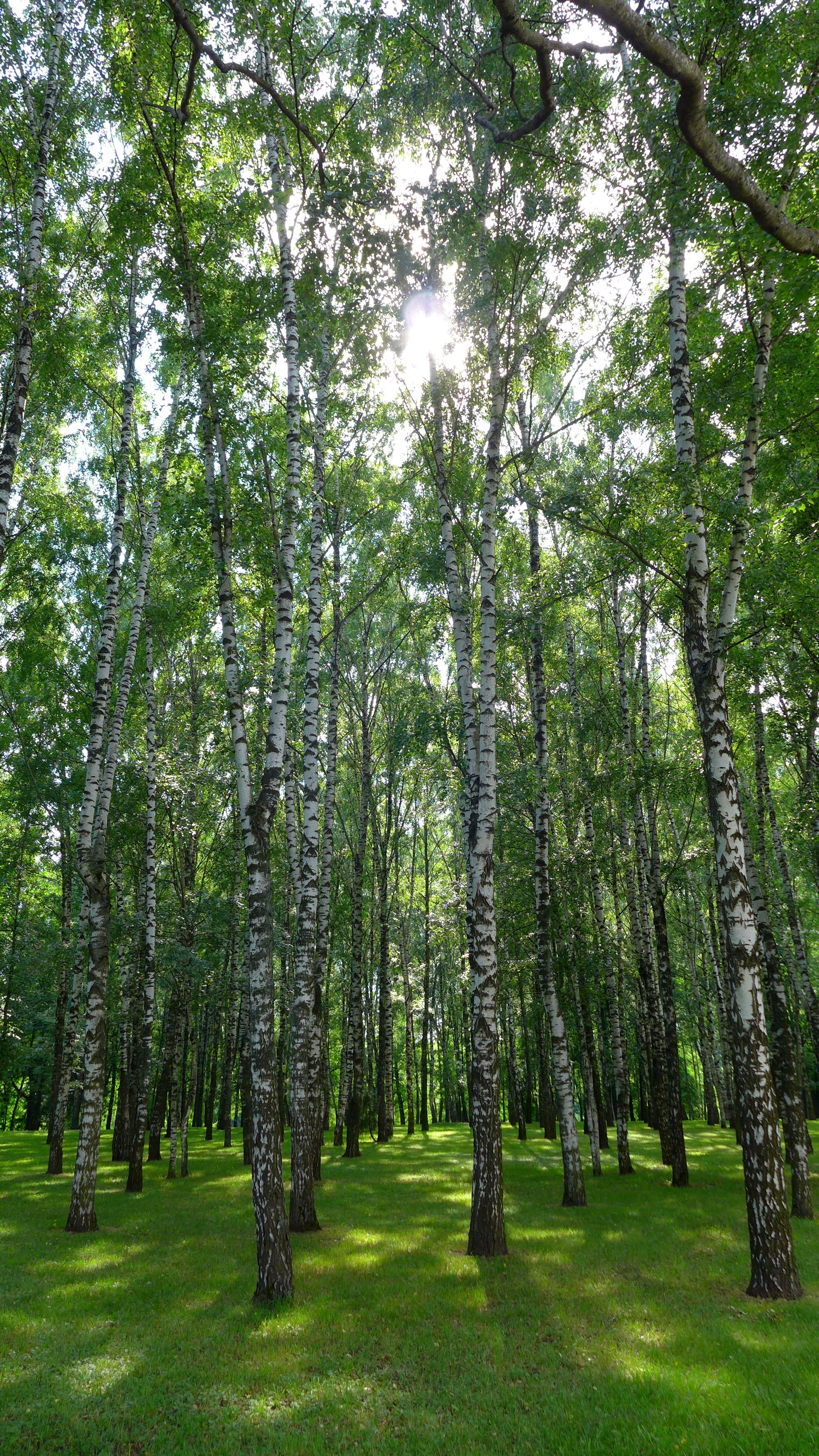 Май. Съемка на природе. Photo-gerz.ru