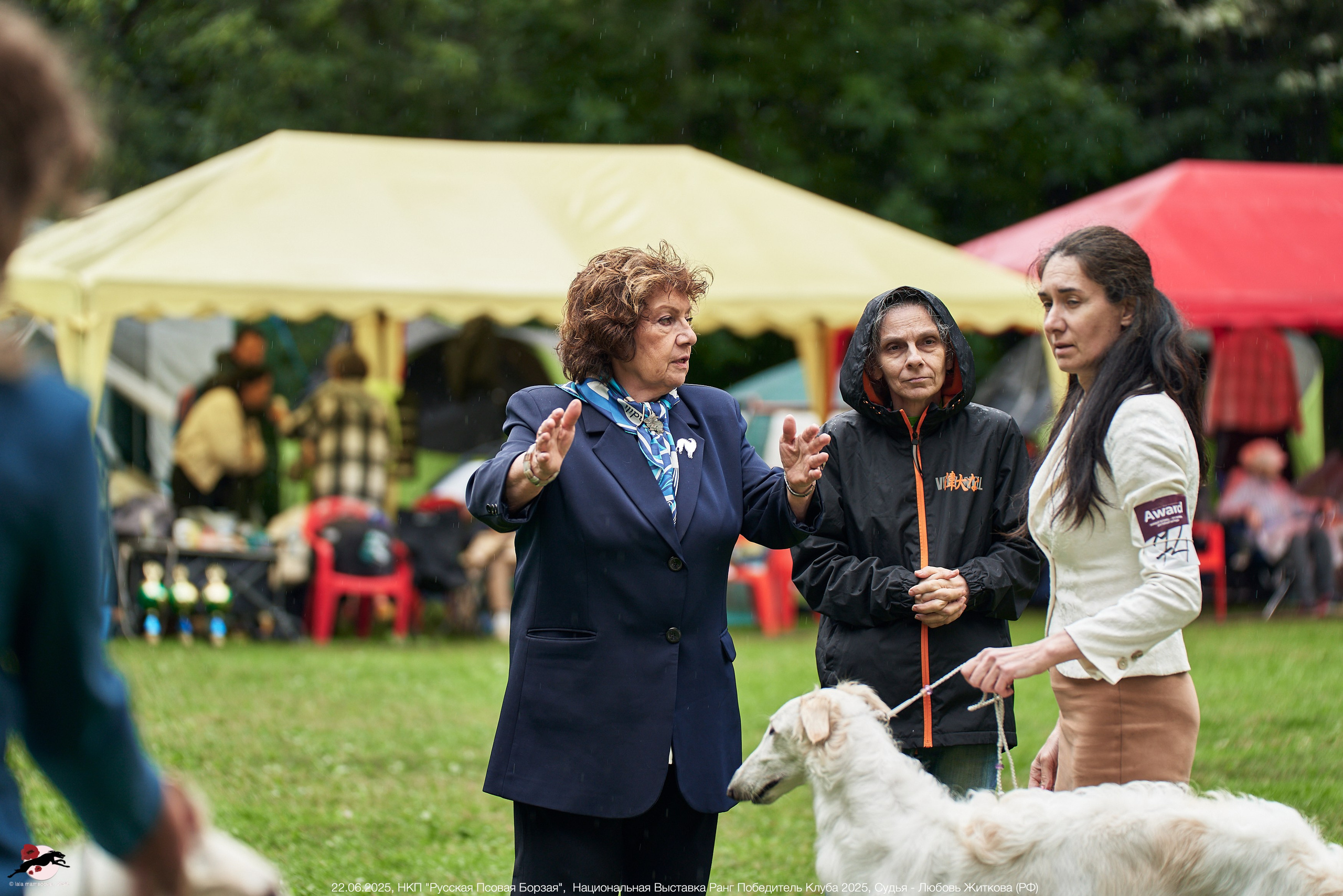22.06.2025 | Национальная Выставка НКП "Русская Псовая Борзая"