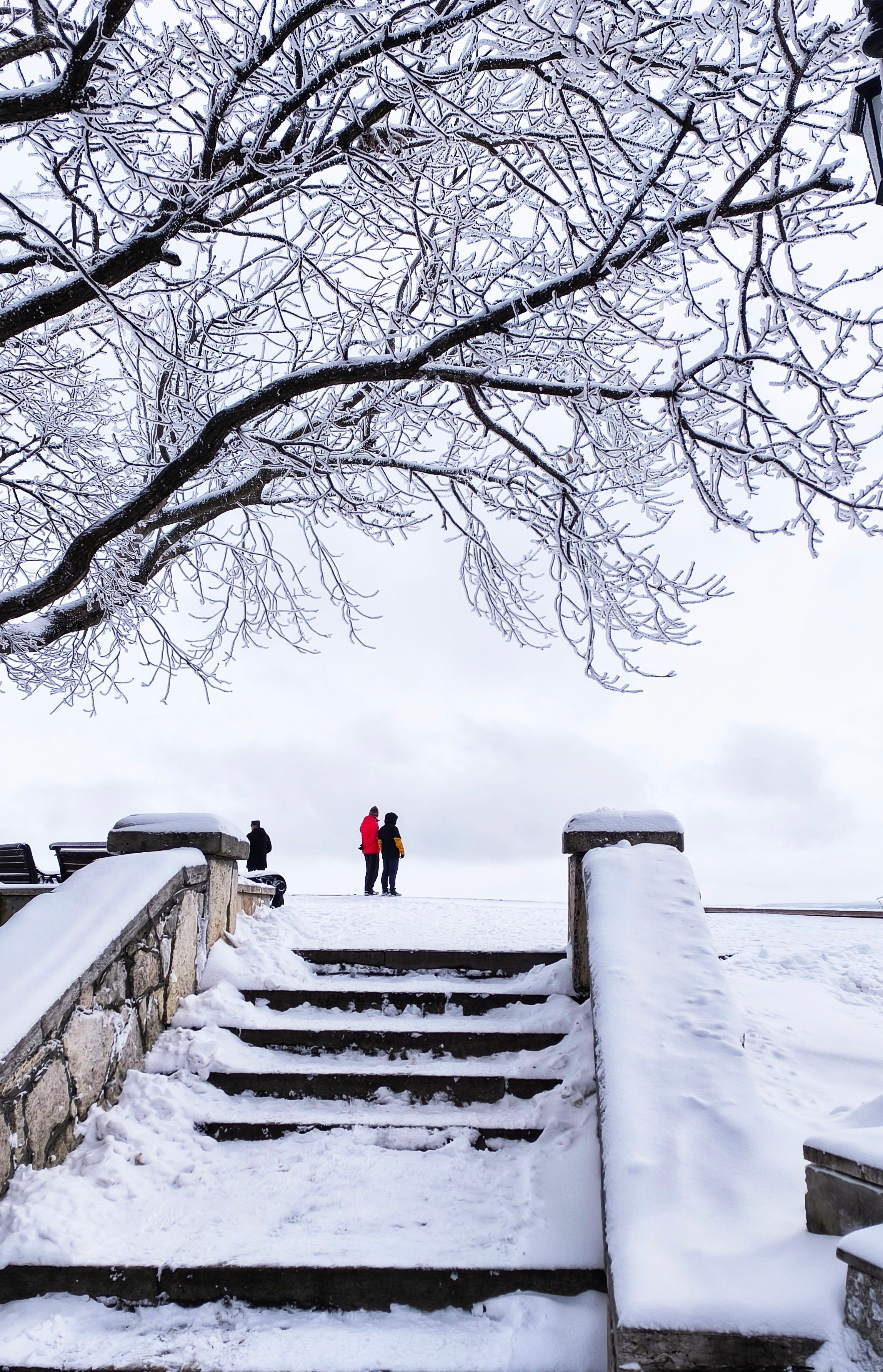 По-настоящему зимний Пятигорск. Фотосайт Андрея Прокопенко