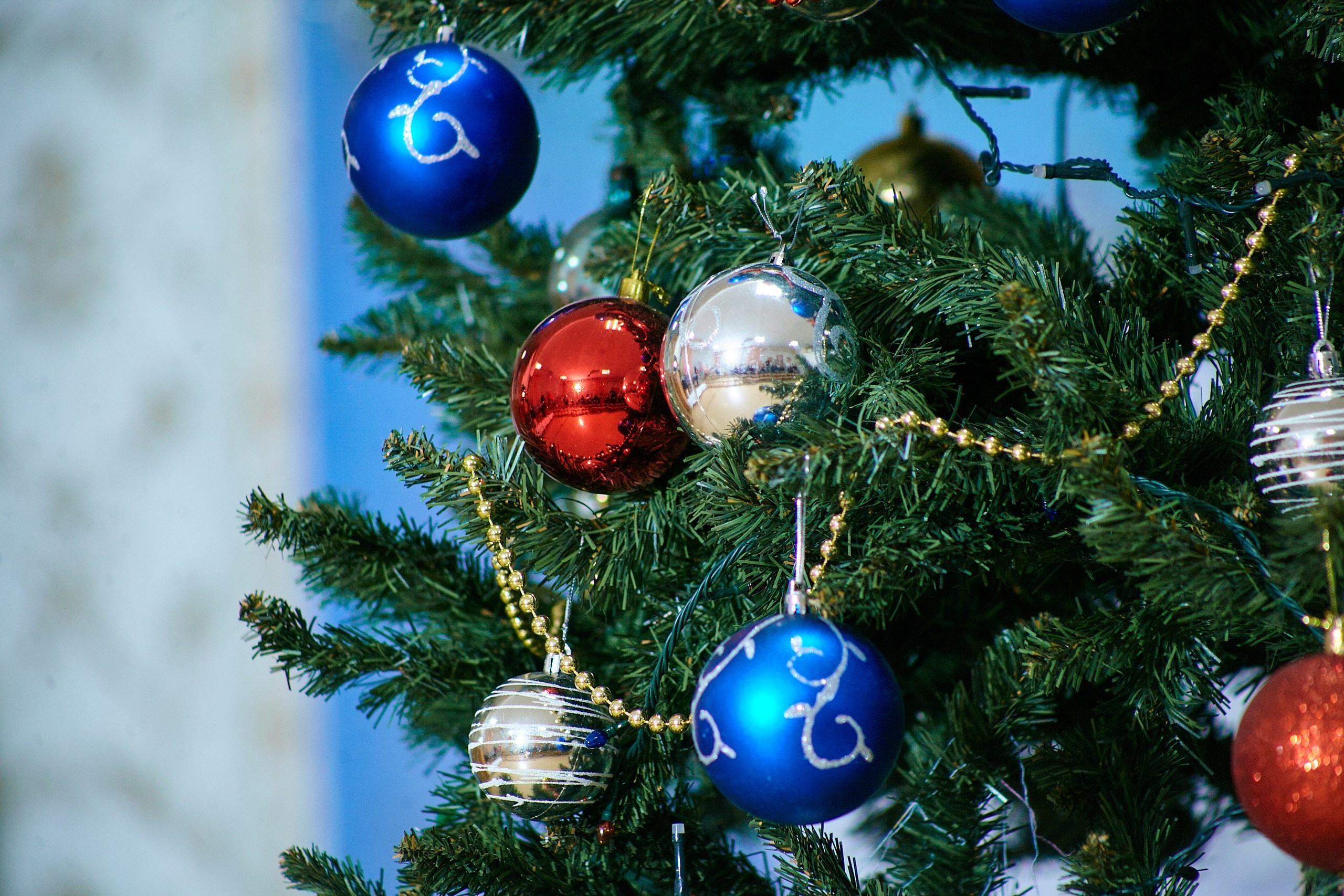 Новогодний утренник. Выпускной альбом Новосибирск