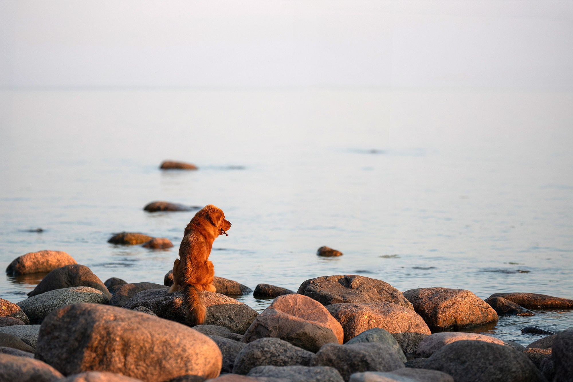 Мои Злата и Фред. -