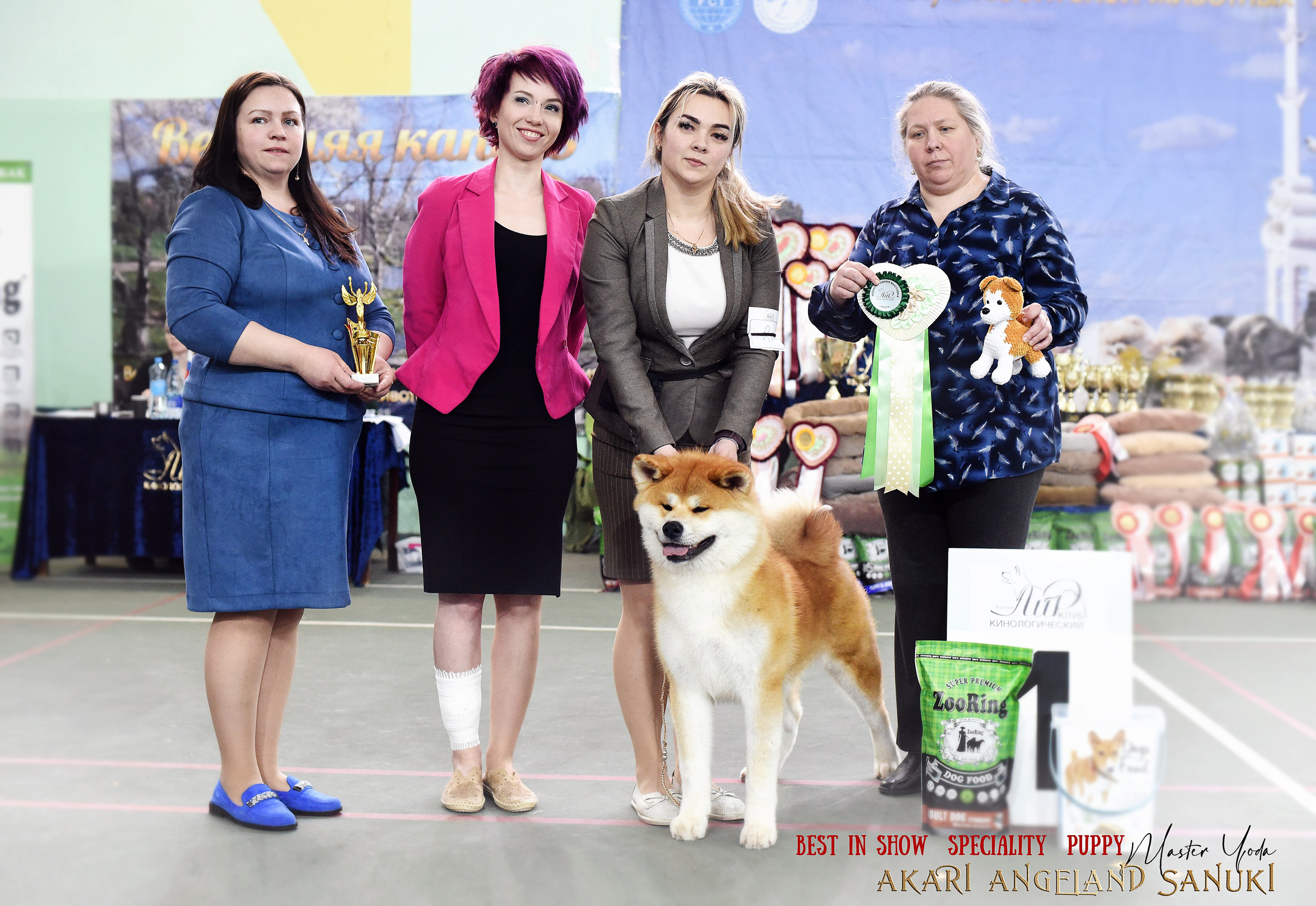 Собаки питомника Bueno Pardo. Питомник собак Акита, Хаски, Корги