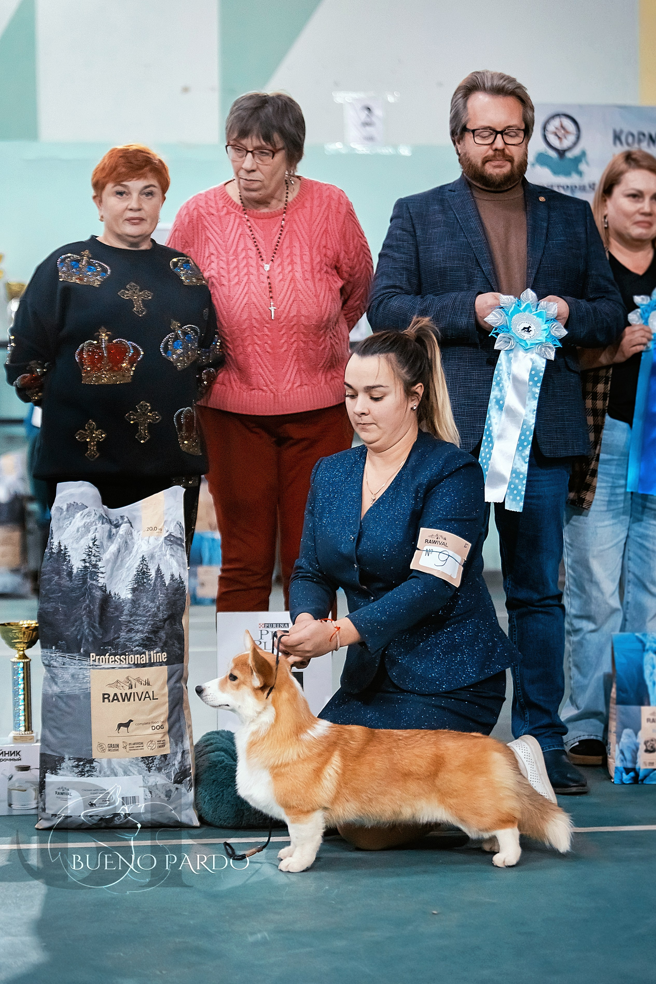 Собаки питомника Bueno Pardo. Питомник собак Акита, Хаски, Корги