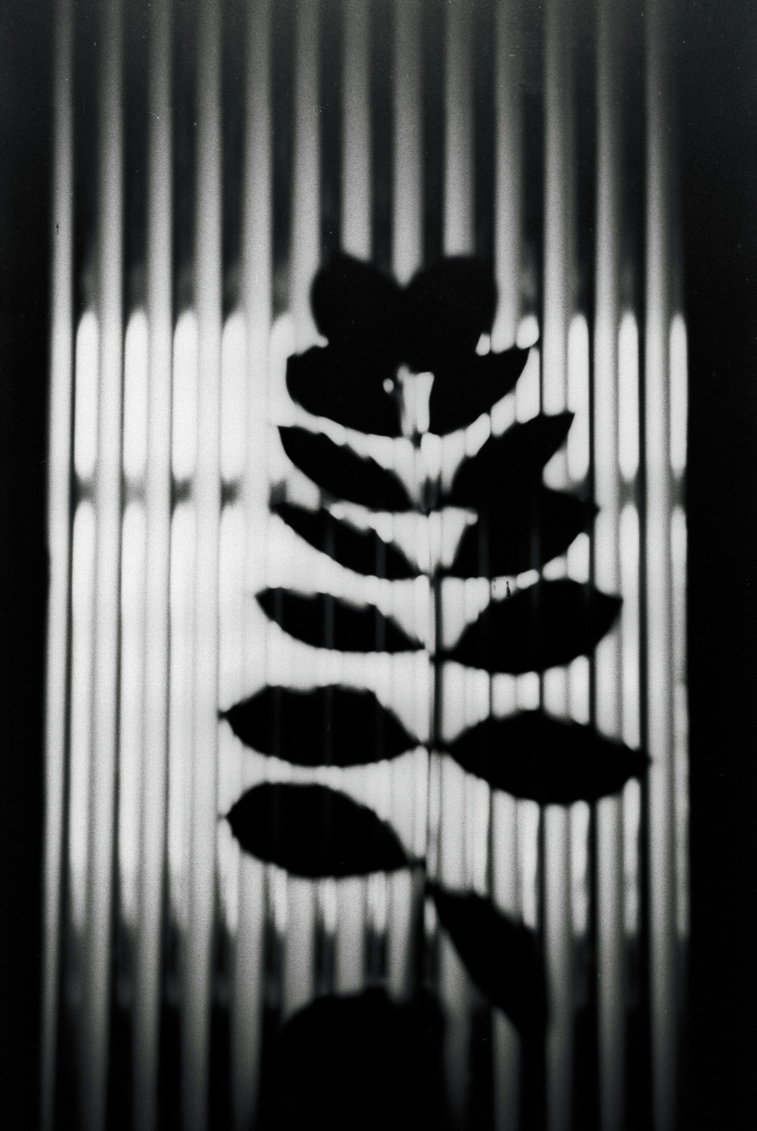 Черно-белые плёночные фотографии. Фотограф — документалист Елена Серафимова