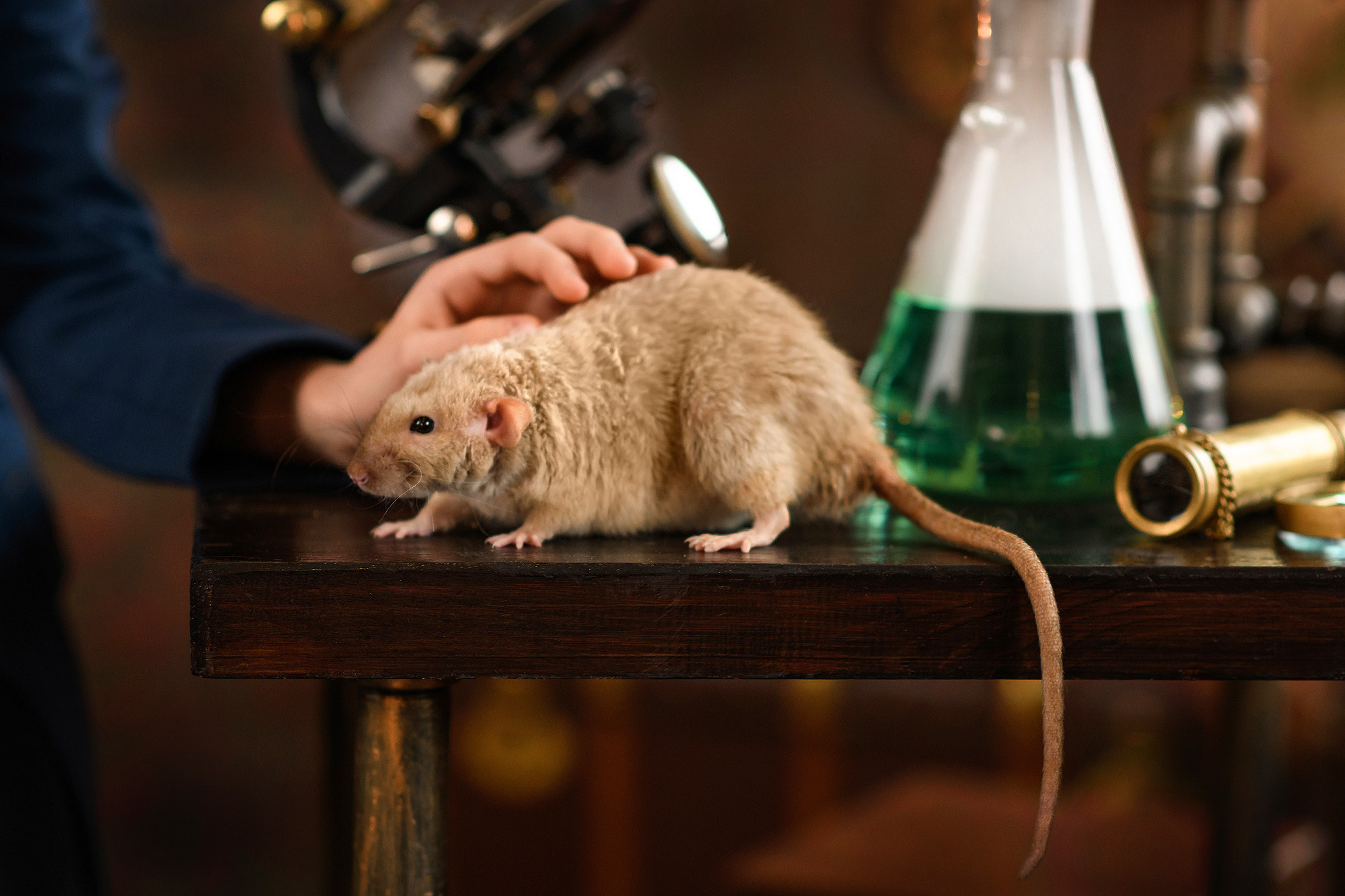 Тематическая съемка школьников. Семьи, дети, сады, школы. Фотограф Первенцева Елена. Москва