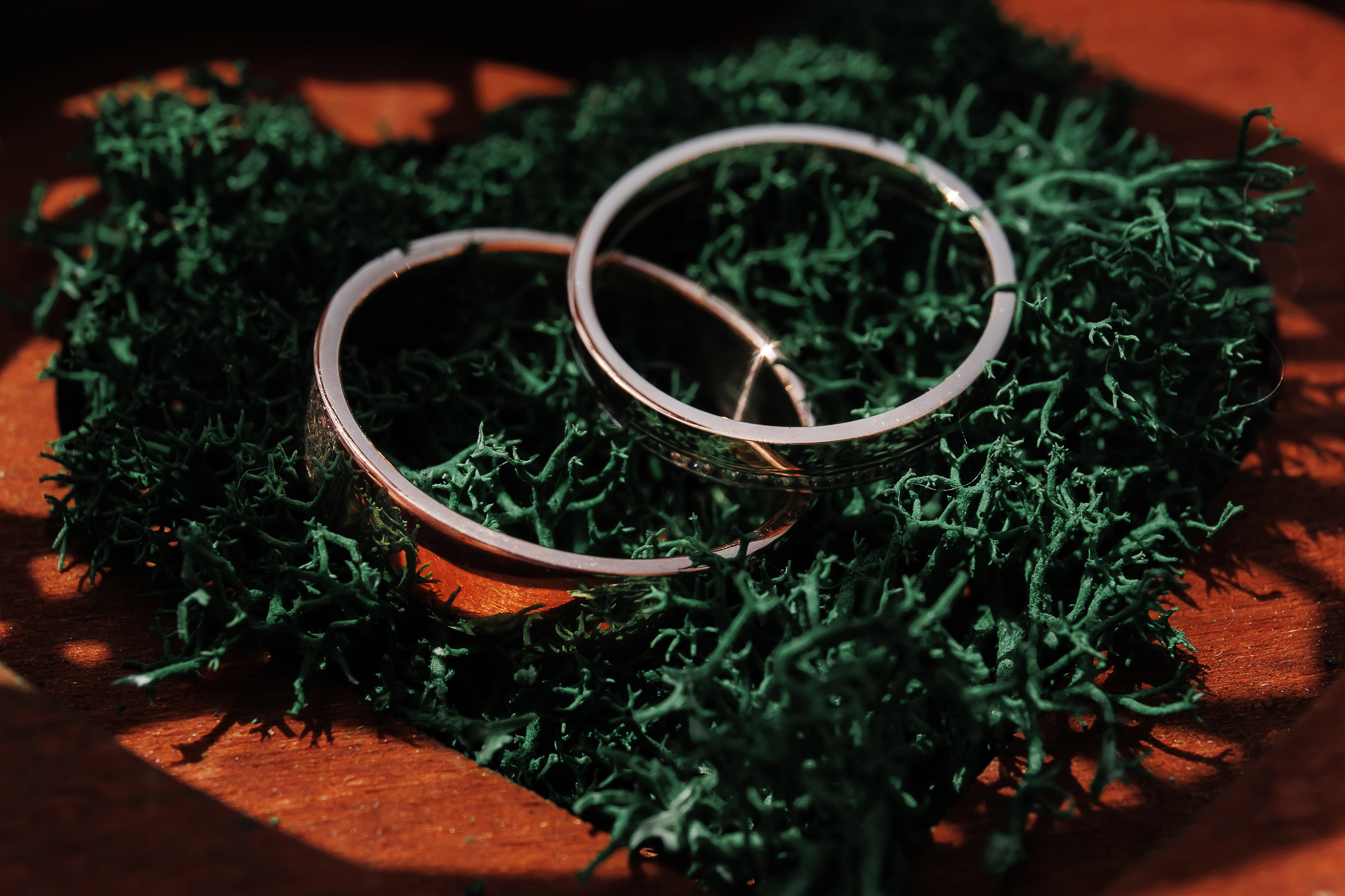 Фотосессия на свадьбе в г. Армавир. Дмитрий Шевченко свадебное фото в г. Краснодар — Армавир — Лабинск