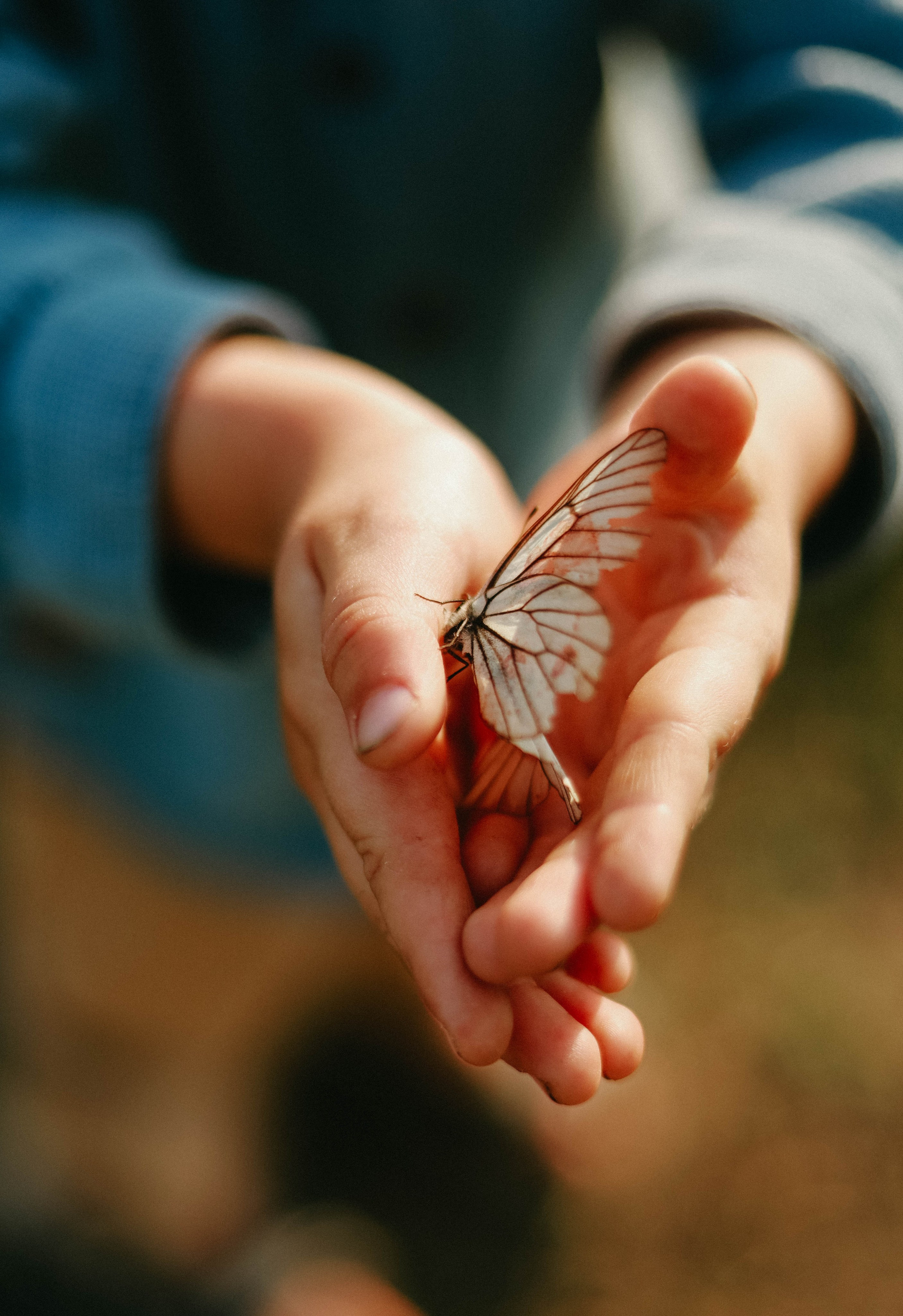 Семейная фотосессия. Фотограф Александра Коновалова