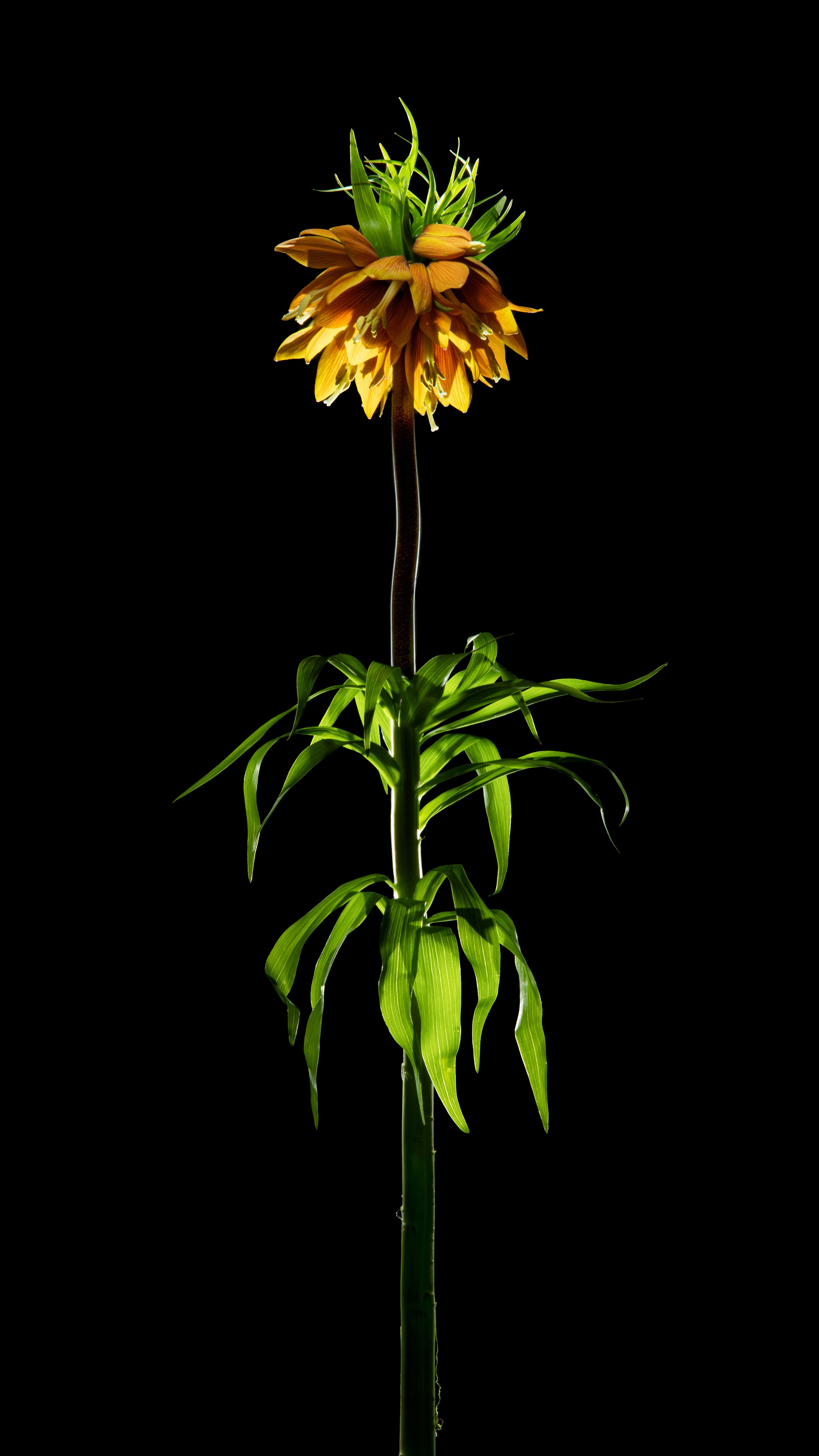 Проекты. Sakunov Photo