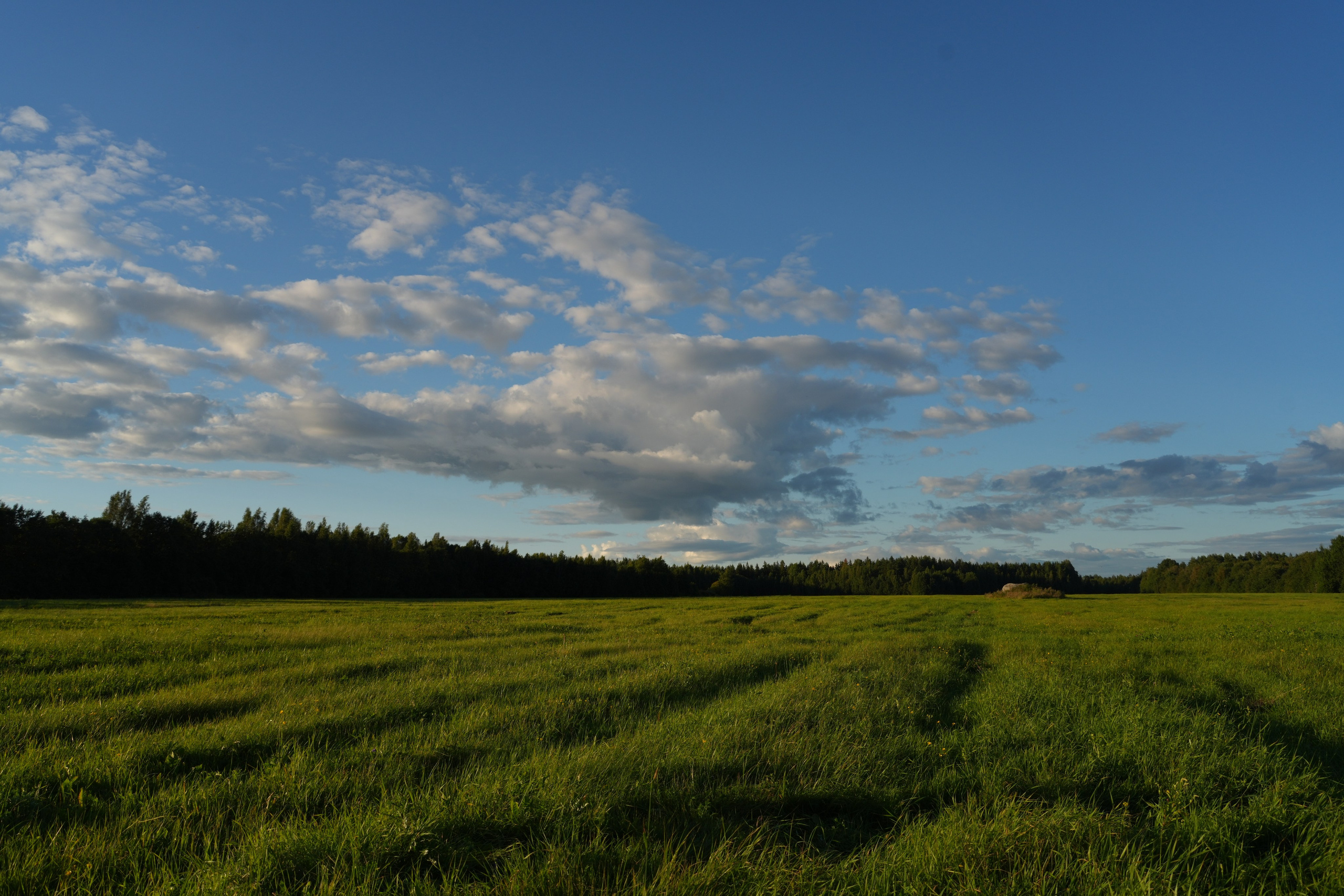 #backstage со съёмок команды в загородном доме. Портретный фотограф в Санкт-Петербурге Дмитриева Наталия