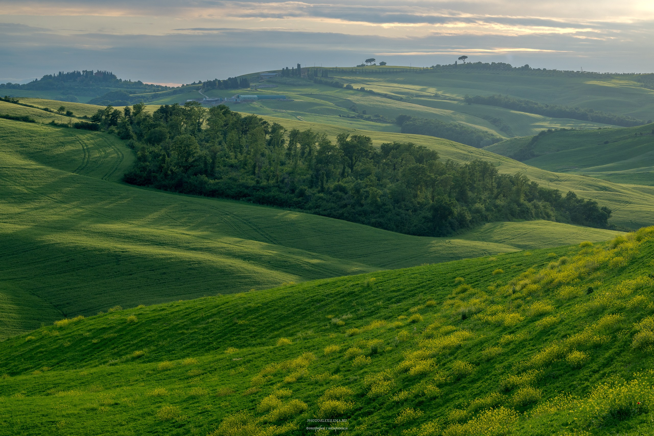 Долина Крете Сенези (Crete Senesi). Авторские стильные фотокартины