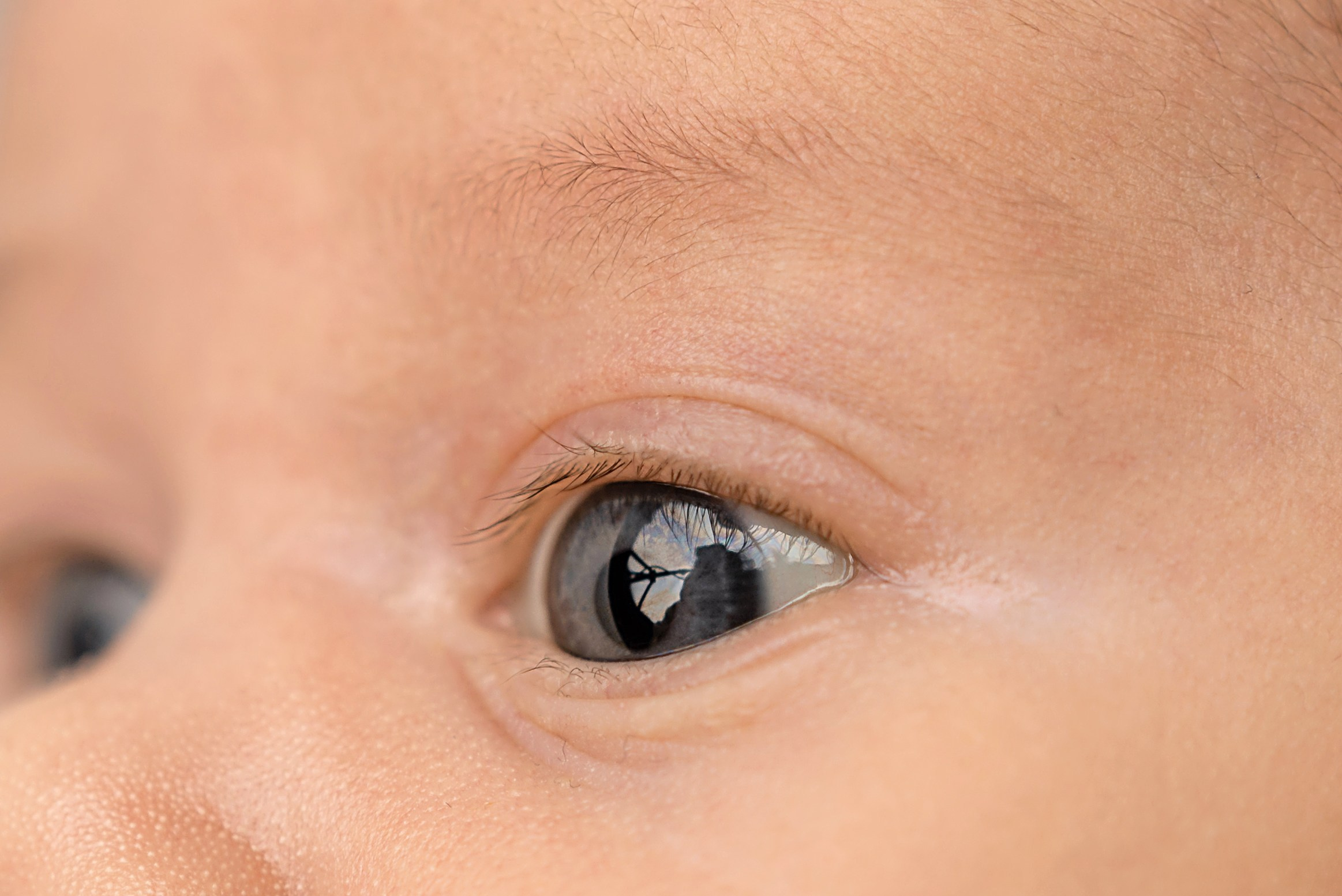 Макрокадры. Детский фотограф новорождённых в Барнауле Ксения Хомкина