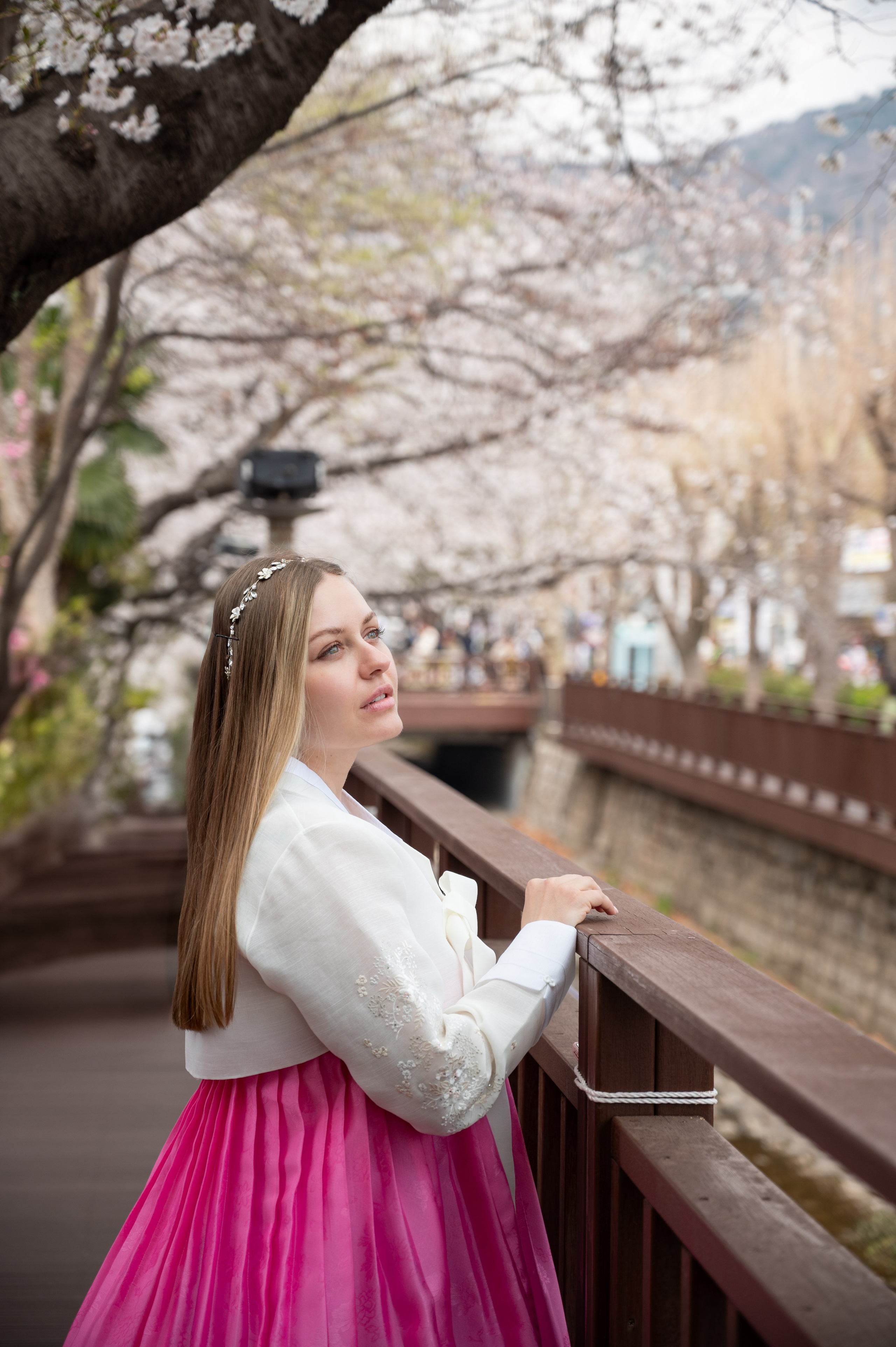 Korean traditional dress photoshoot under cherry blossoms Busan