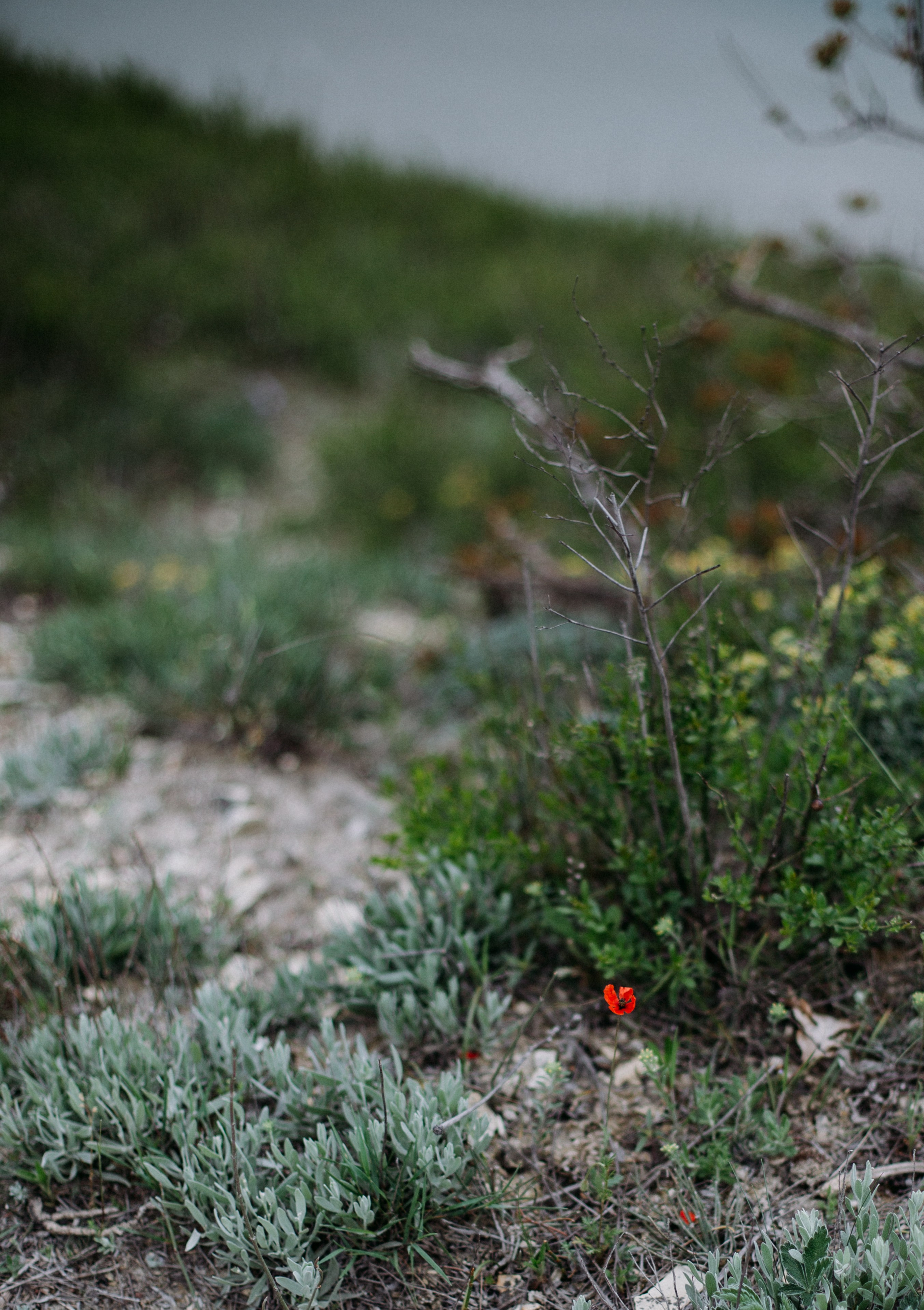 Дороги земли ветров. Портретный фотограф в Москве и Геленджике Кирилл Вахитов