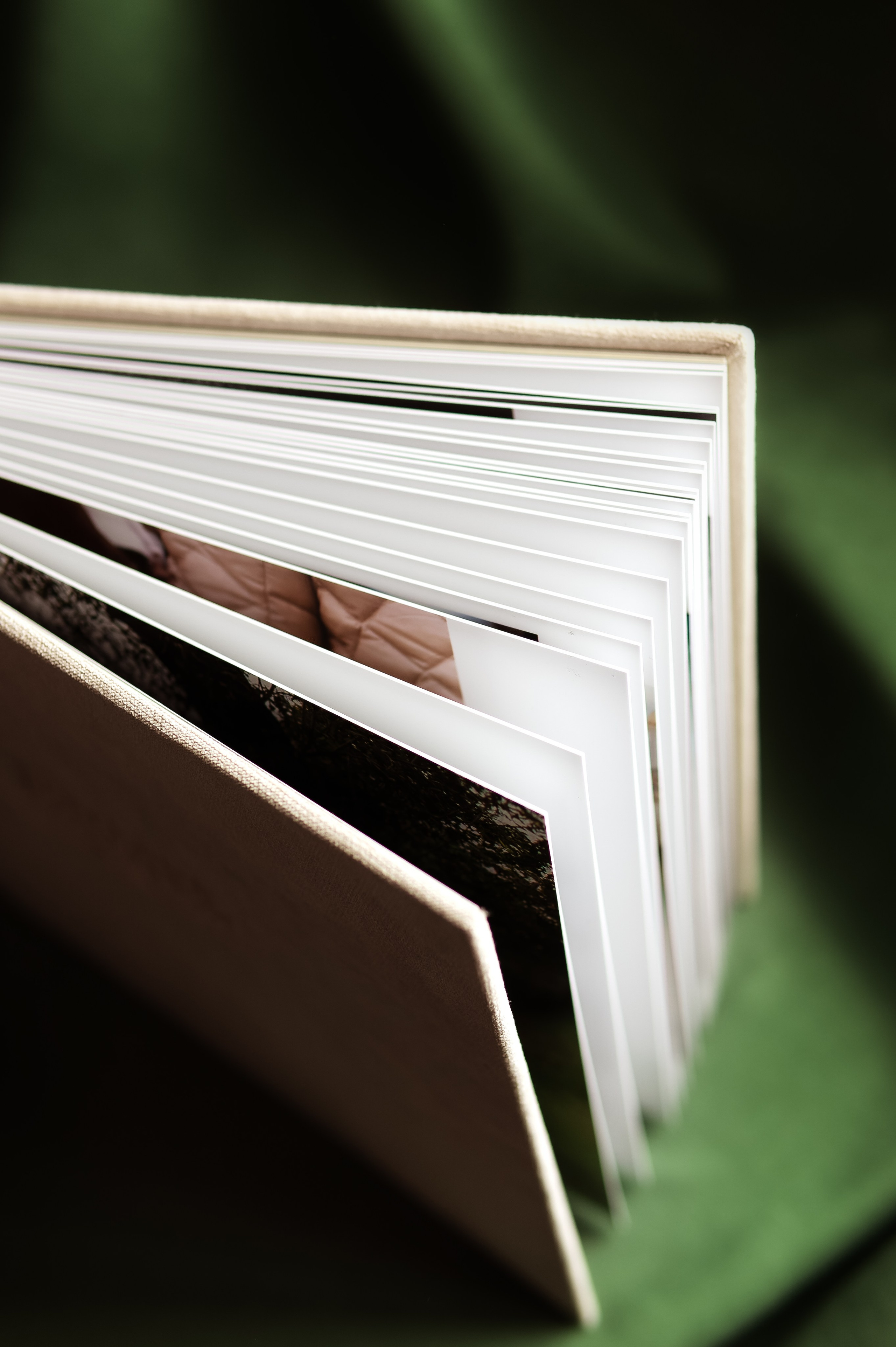 Семейный фотоальбом, фотокнига Белоозерский