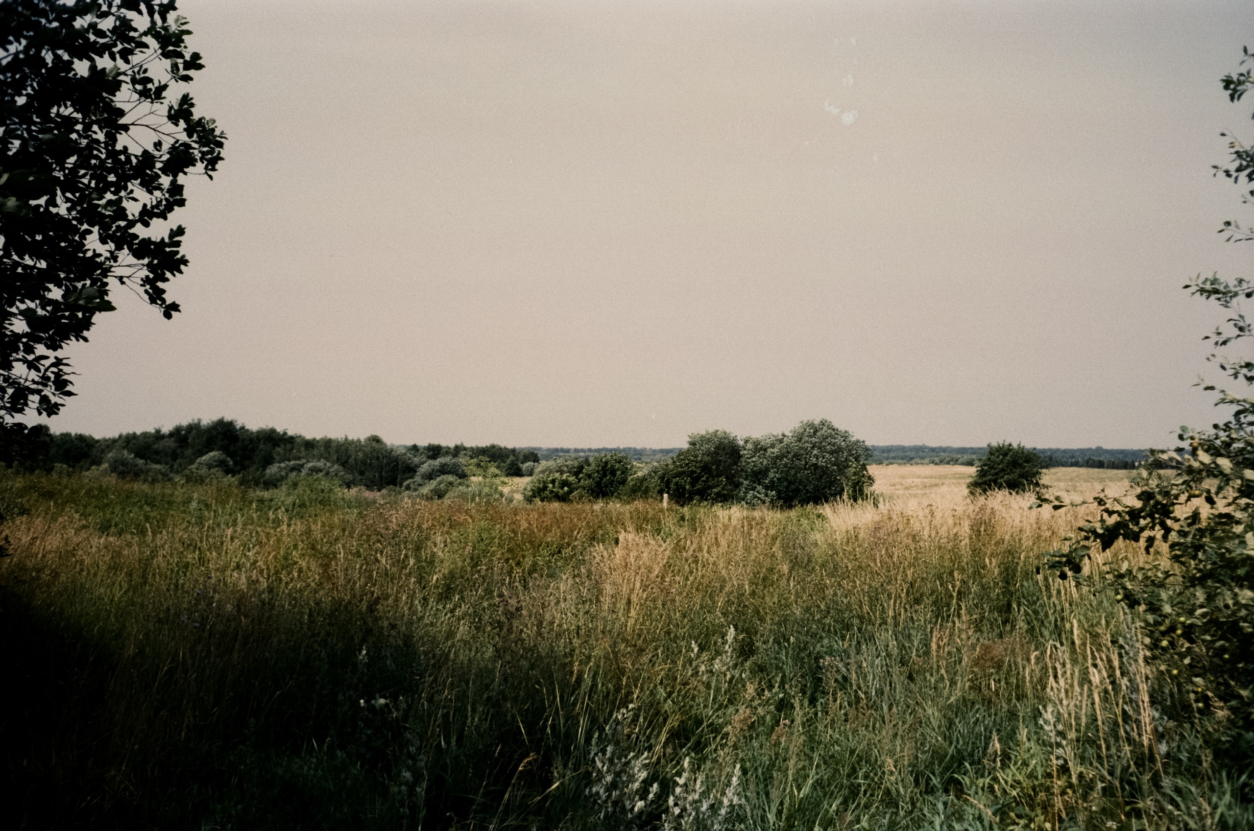 29 и 30 июня / Светлогорск и Янтарный / Minox 35 GT (2)