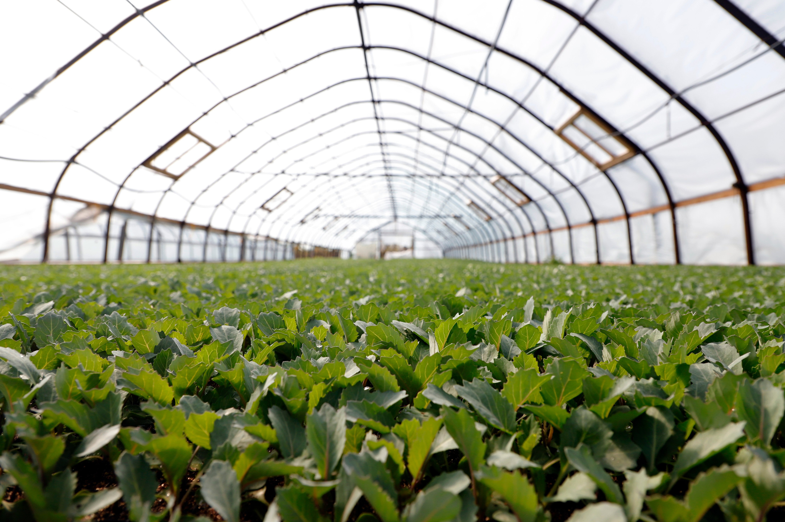 Бизнес и производство. Репортажное и контент фото для бизнеса. Клим Мурашкин. Кемерово