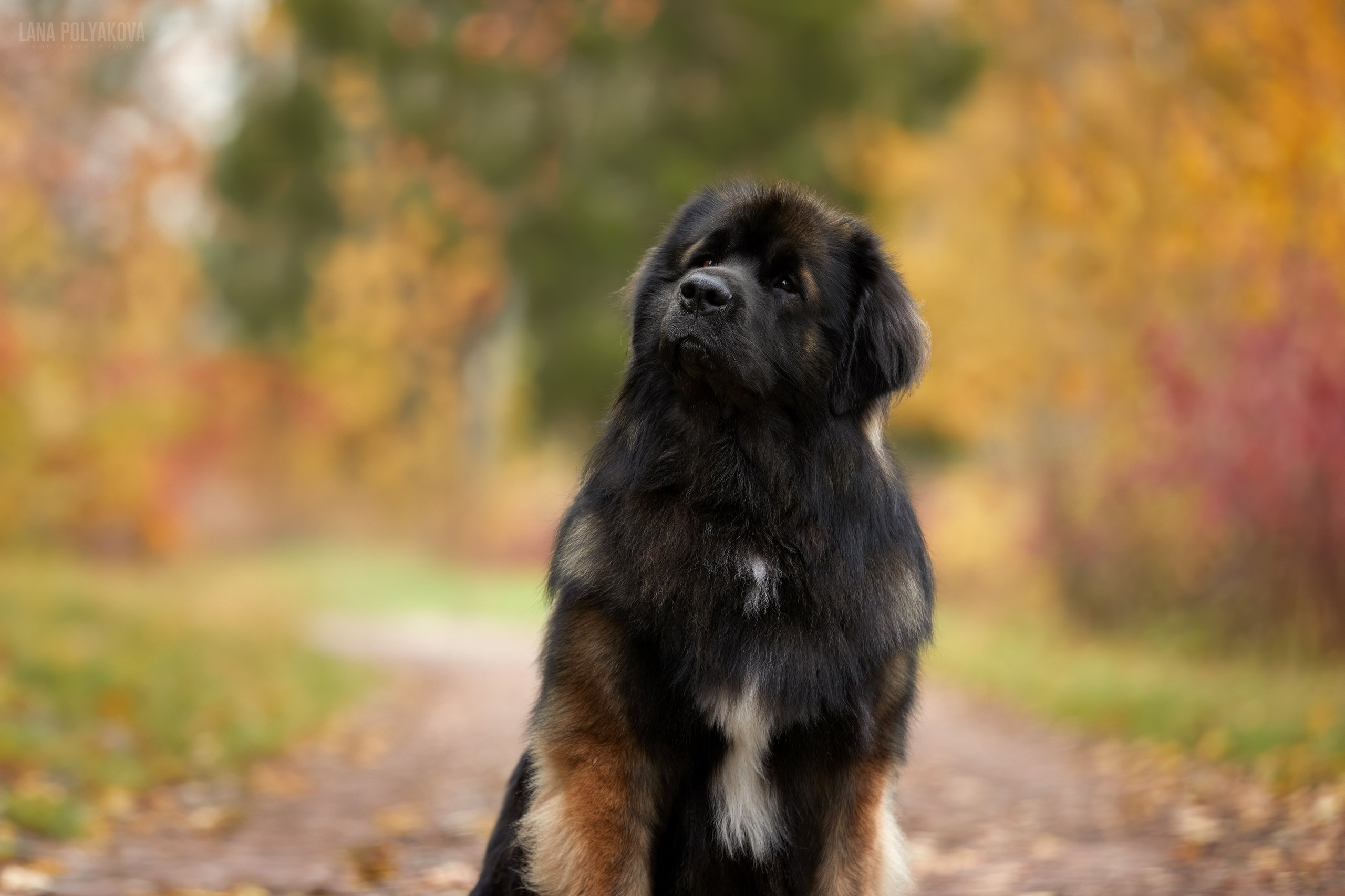 Лернбергеры на прогулке в Санкт-Петербурге