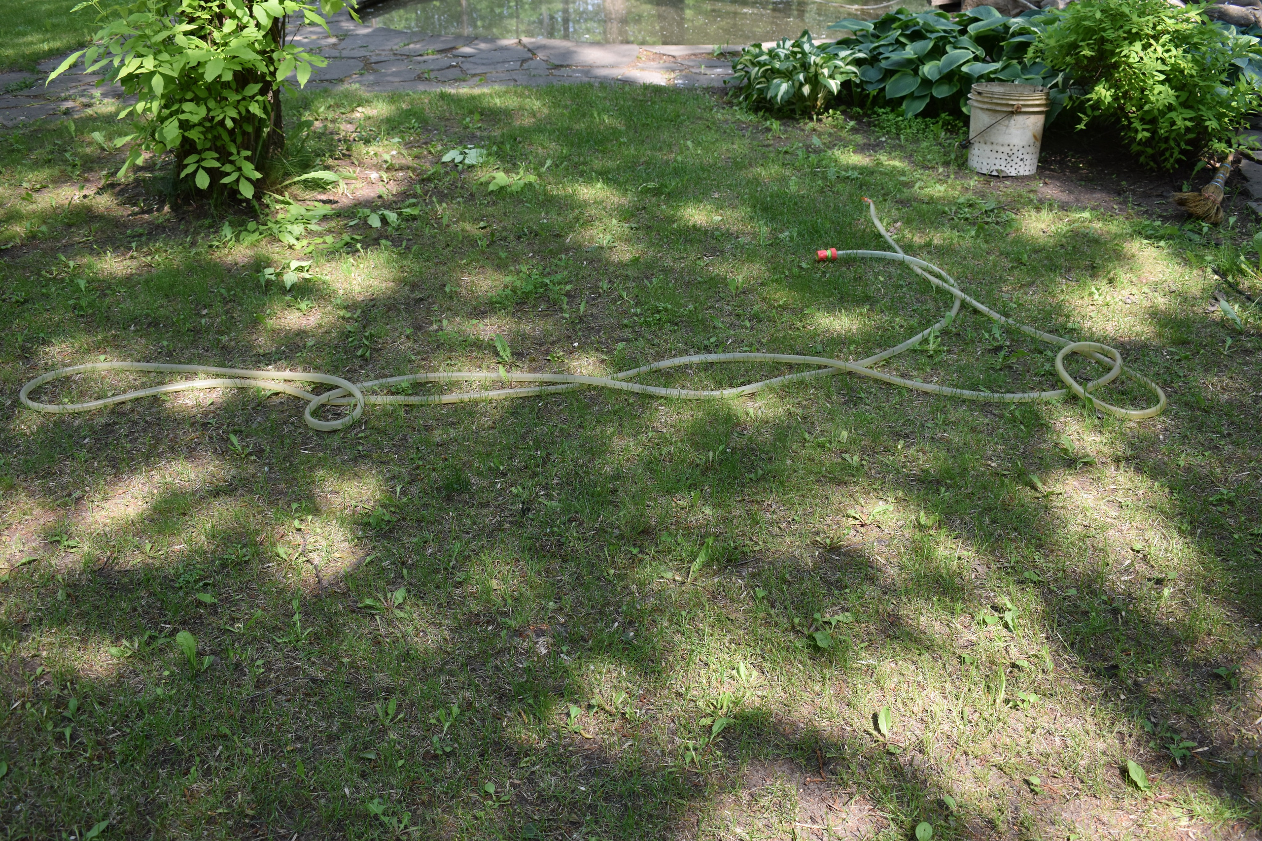 Добрый садовник (в процессе). Микс-медиа художница Надежда Пророкова