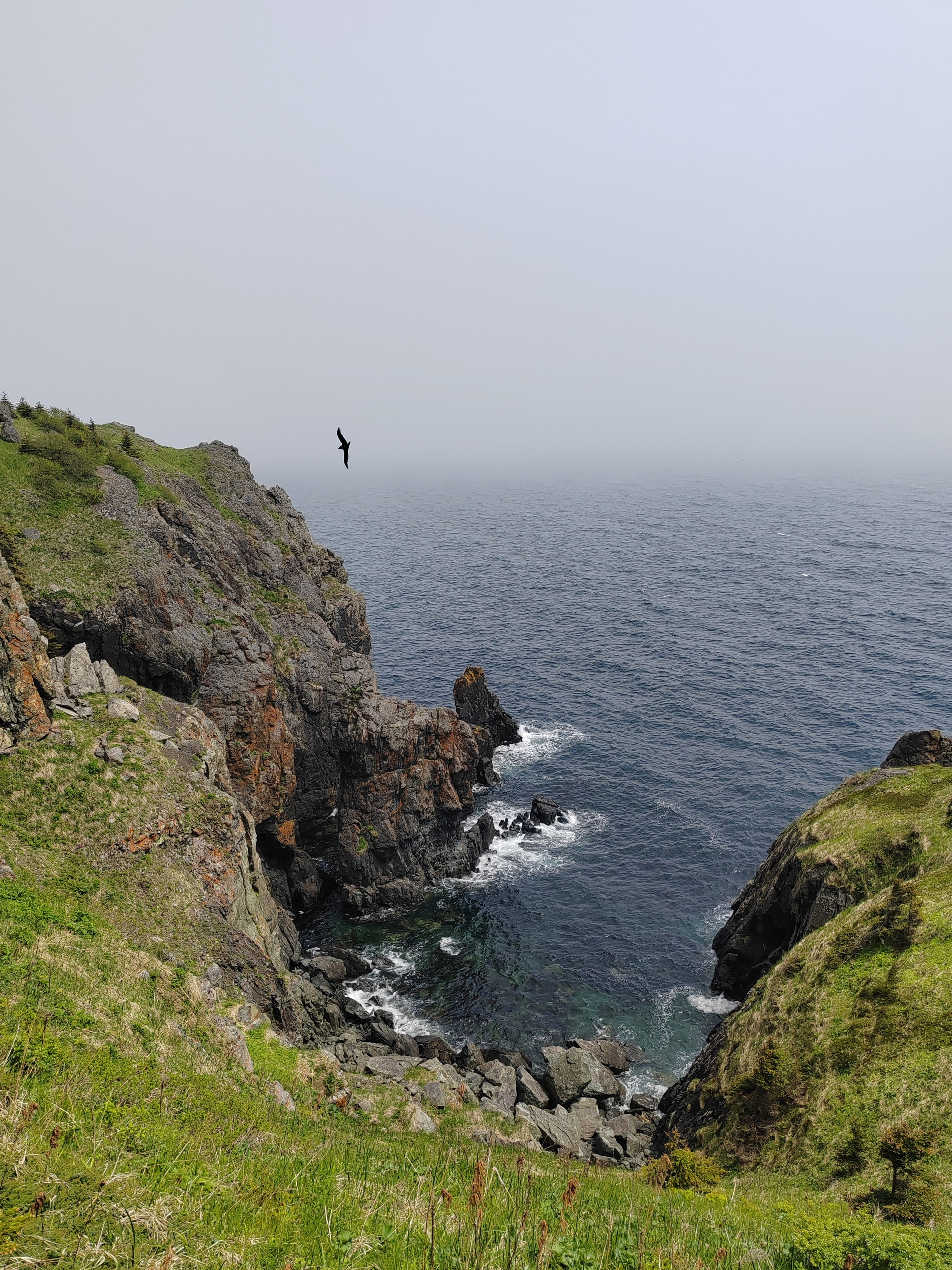 Совгавань, Охотское море