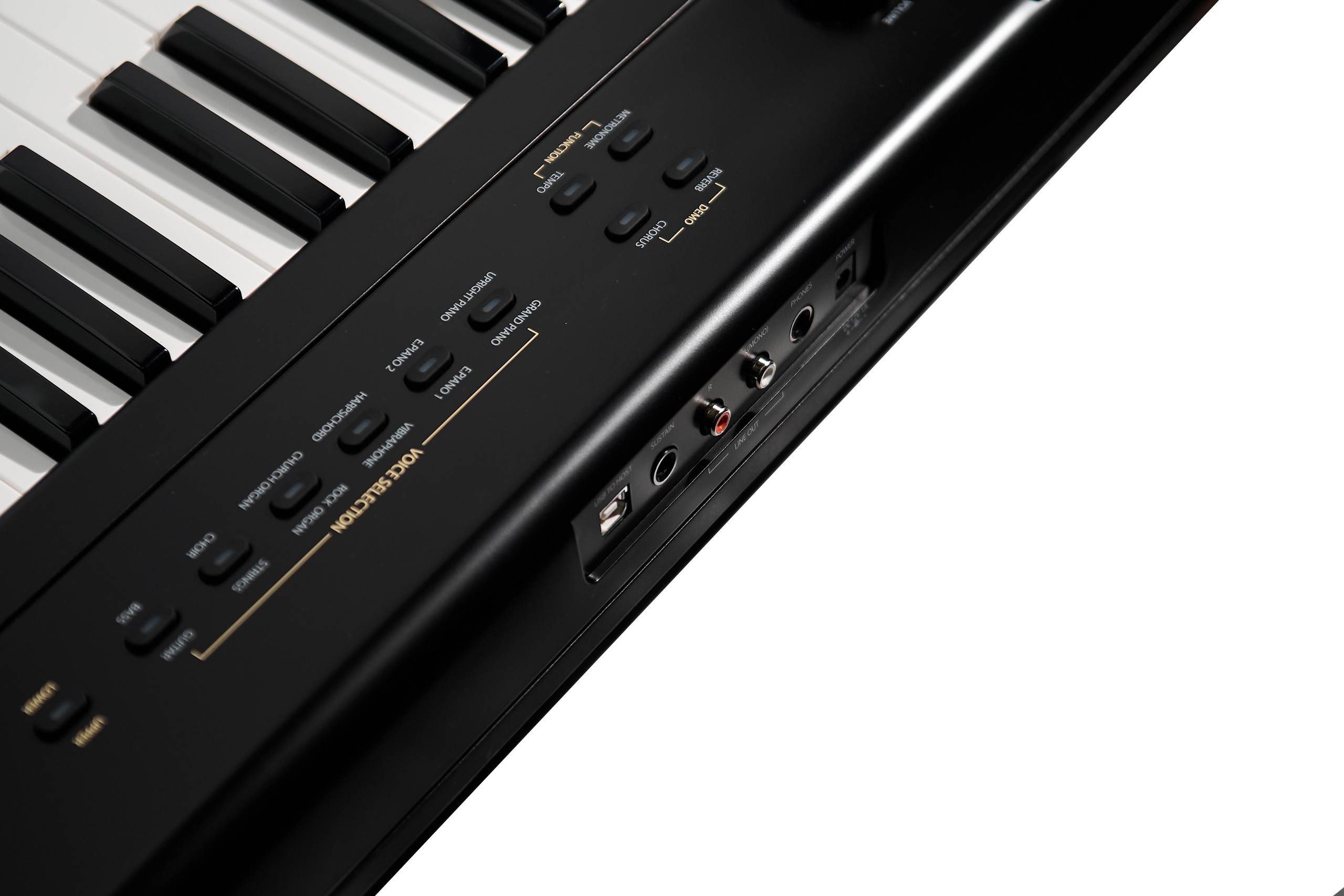 Фотограф — Данилов Михаил. Бизнес и контент фотограф — Михаил Данилов | Москва, Видное, Домодедово