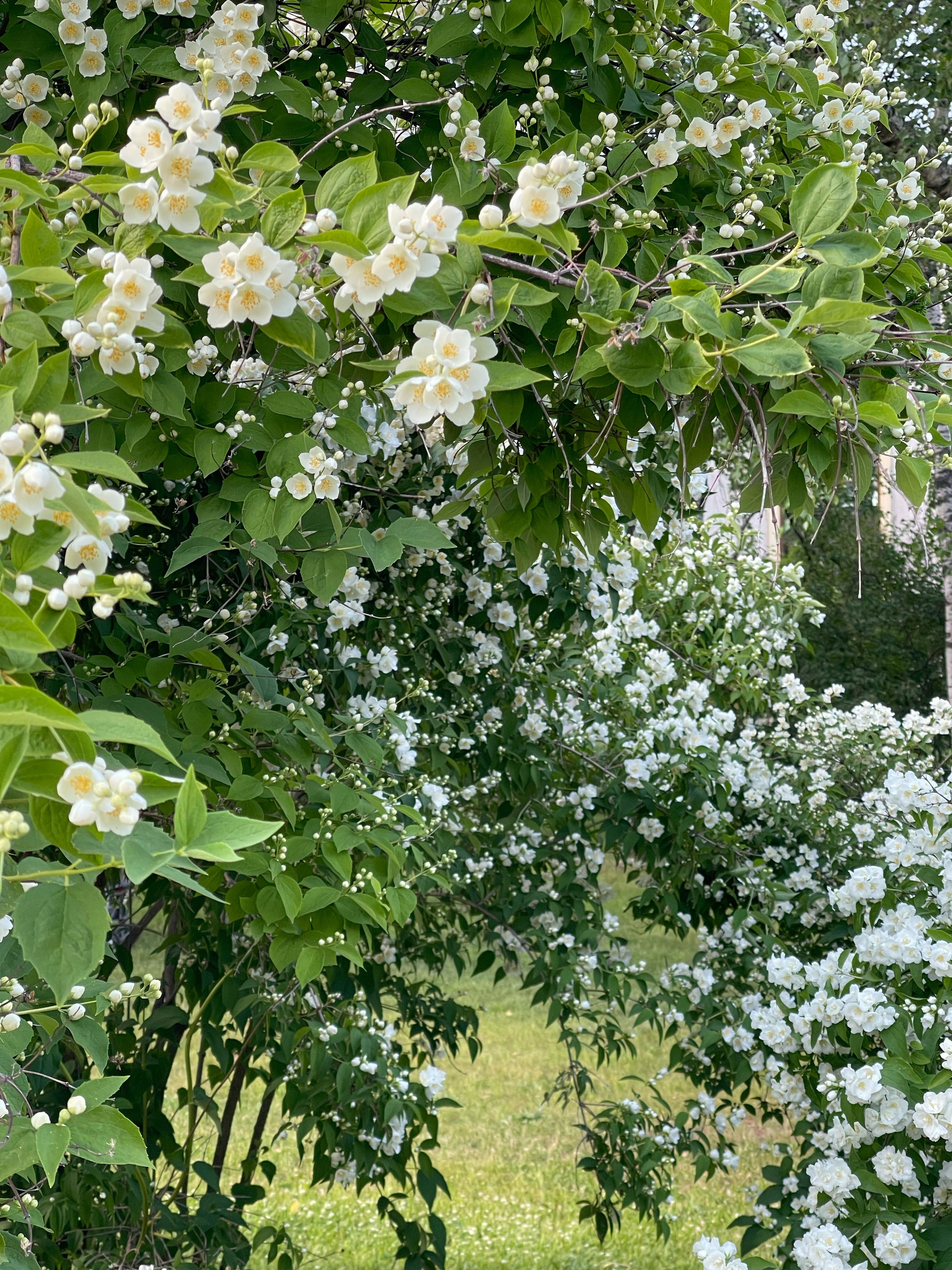 HEYDAY. Daria Blinova