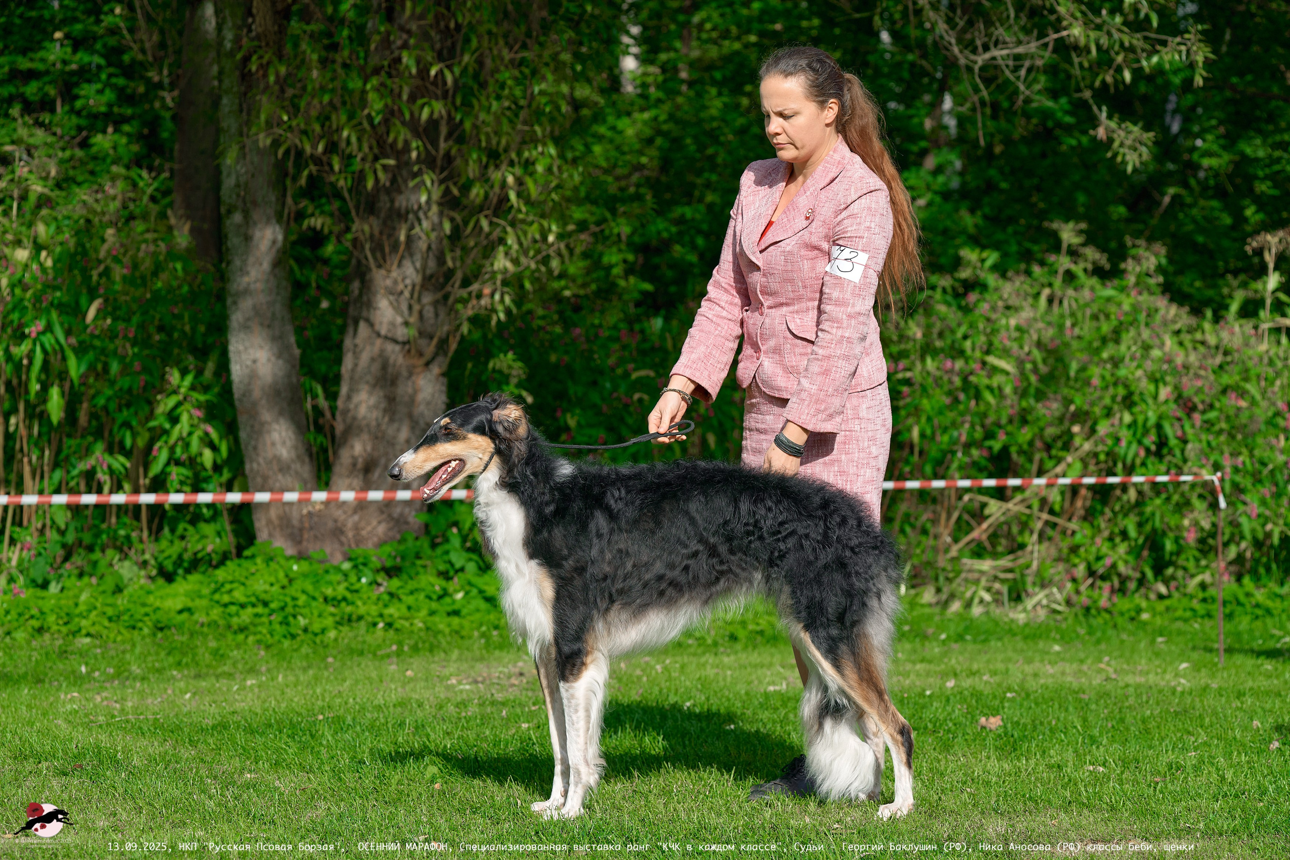 ОСЕННИЙ МАРАФОН | Специализированная выставка породы Русская Псовая Борзая ранг "КЧК в каждом классе"