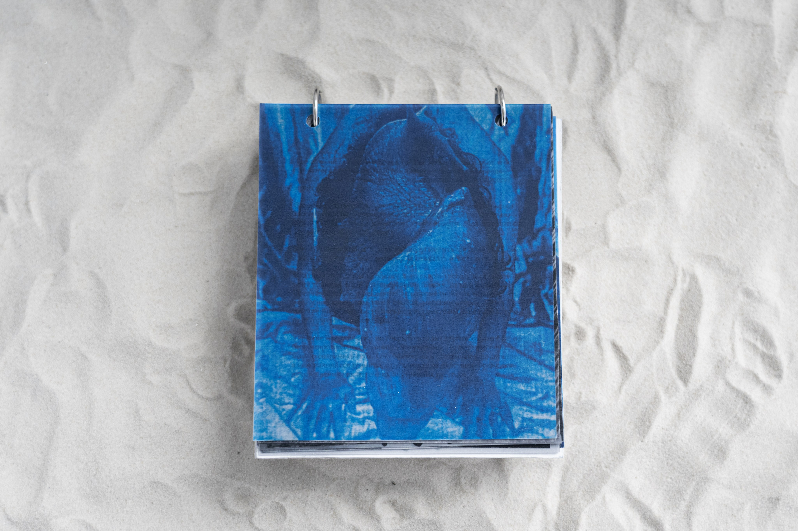 Укрытие. Катрин Эдельвак