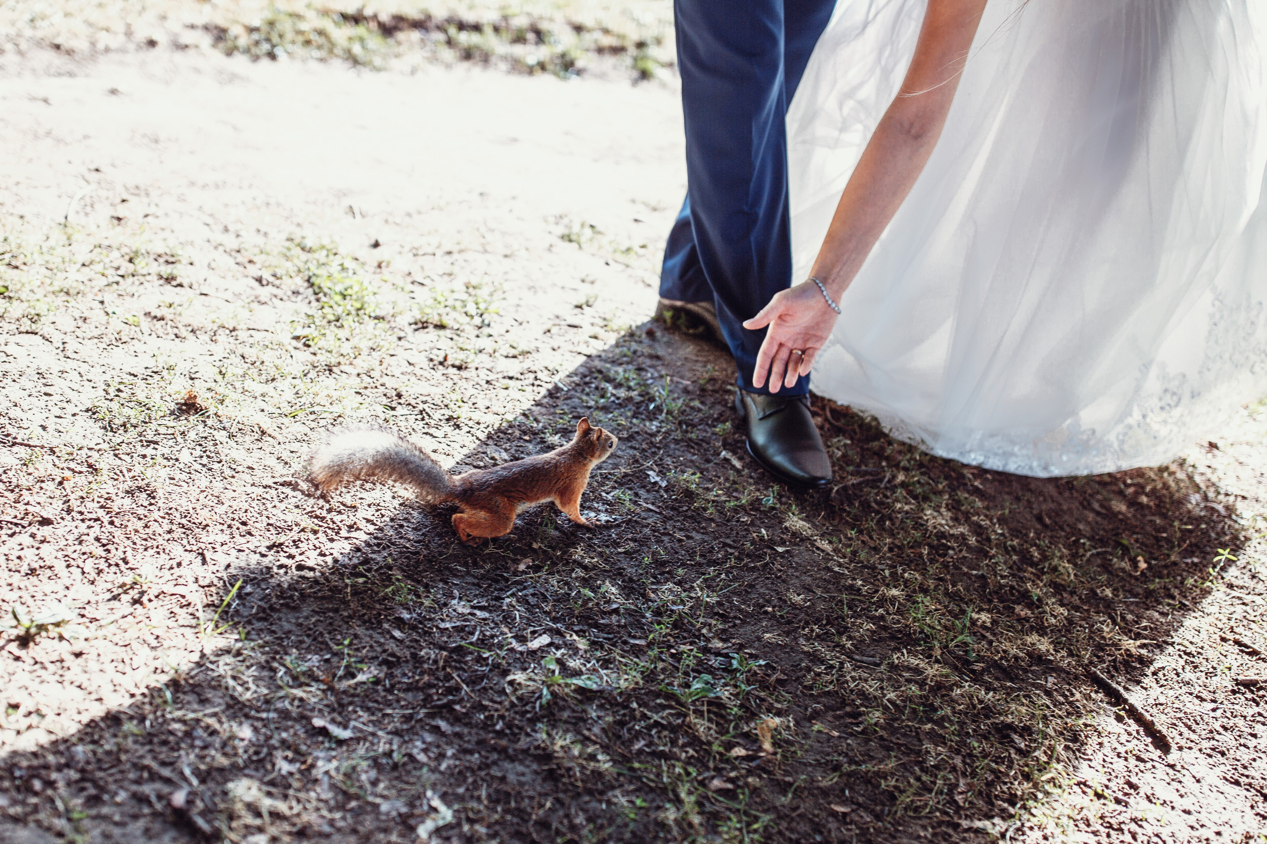 Свадебная прогулка в Царицино. Фотограф — Евгений Свистков