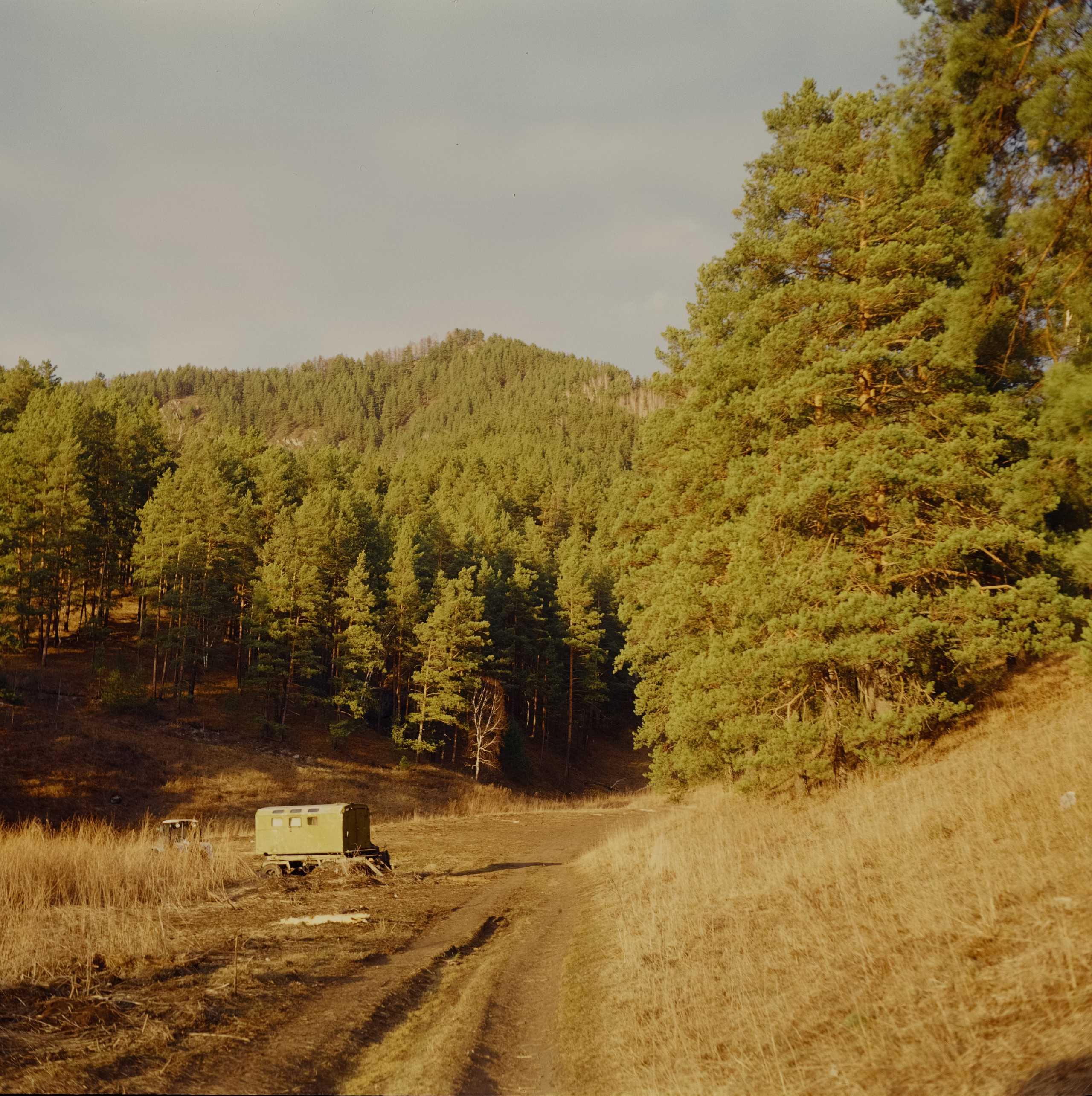 День зимнего солнцестояния / 22 декабря 2023 года (0)