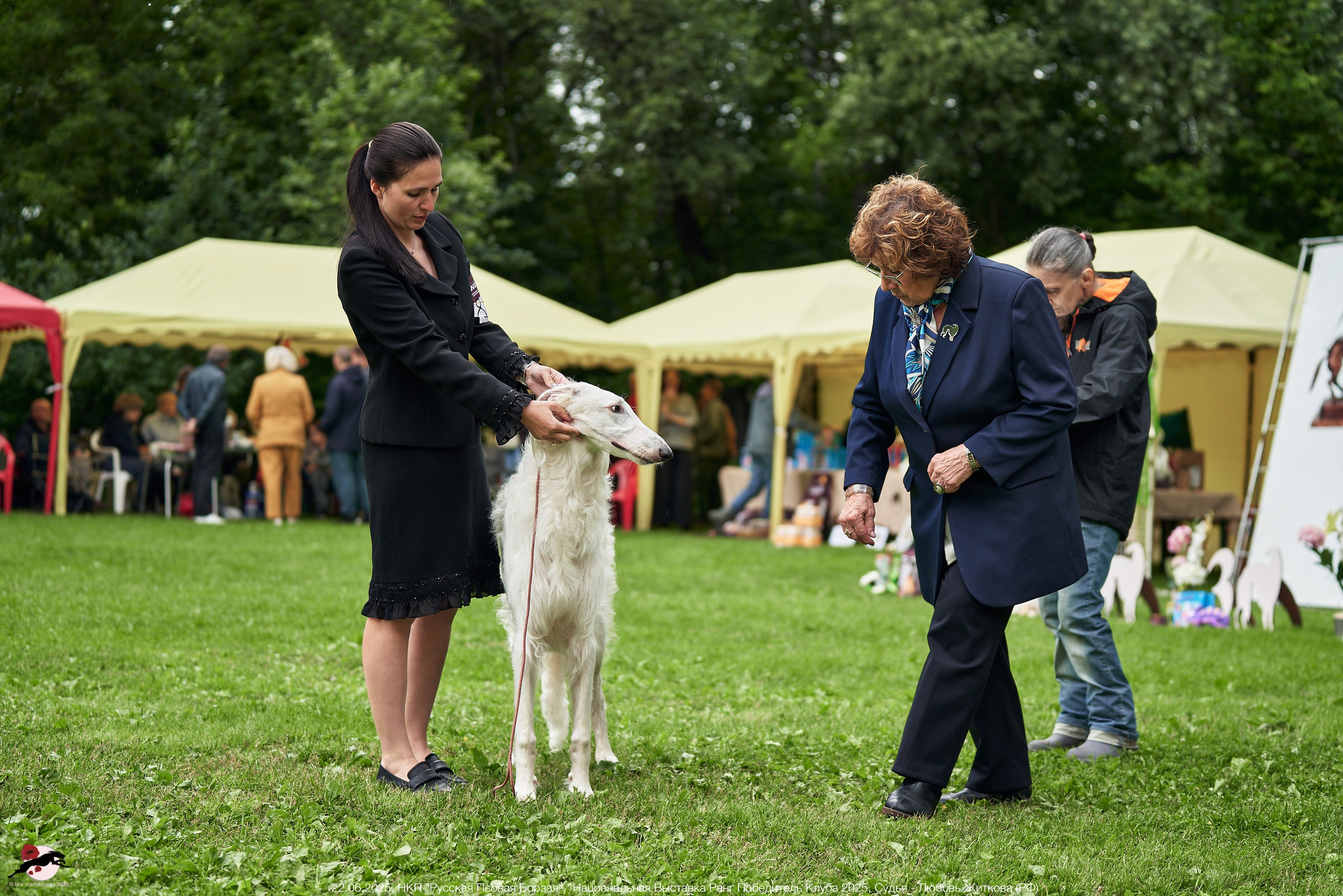 22.06.2025 | Национальная Выставка НКП "Русская Псовая Борзая"