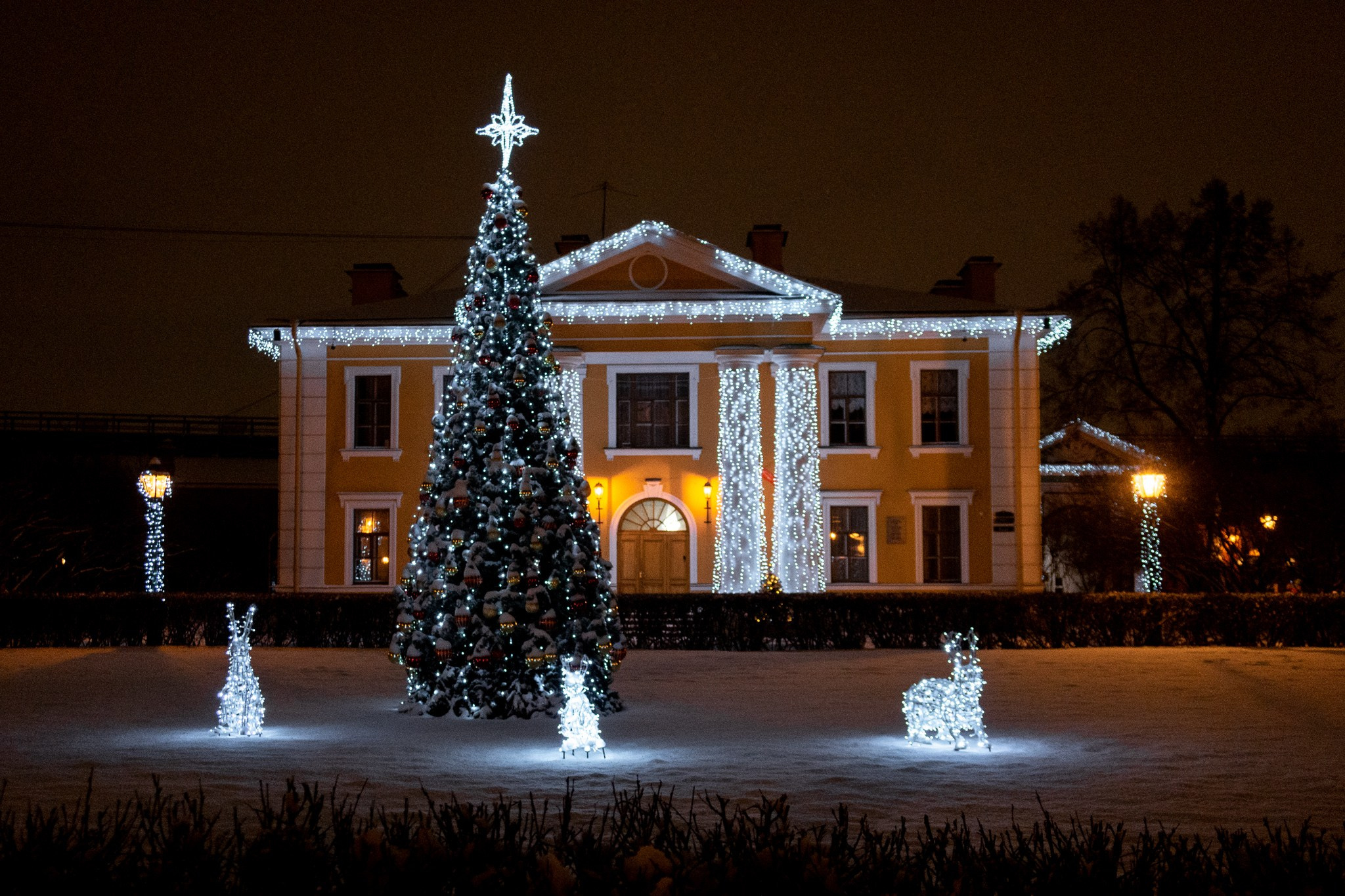 Новогодняя поездка в Санкт-Петербург. Павел Шарапов | Фотограф | Москва