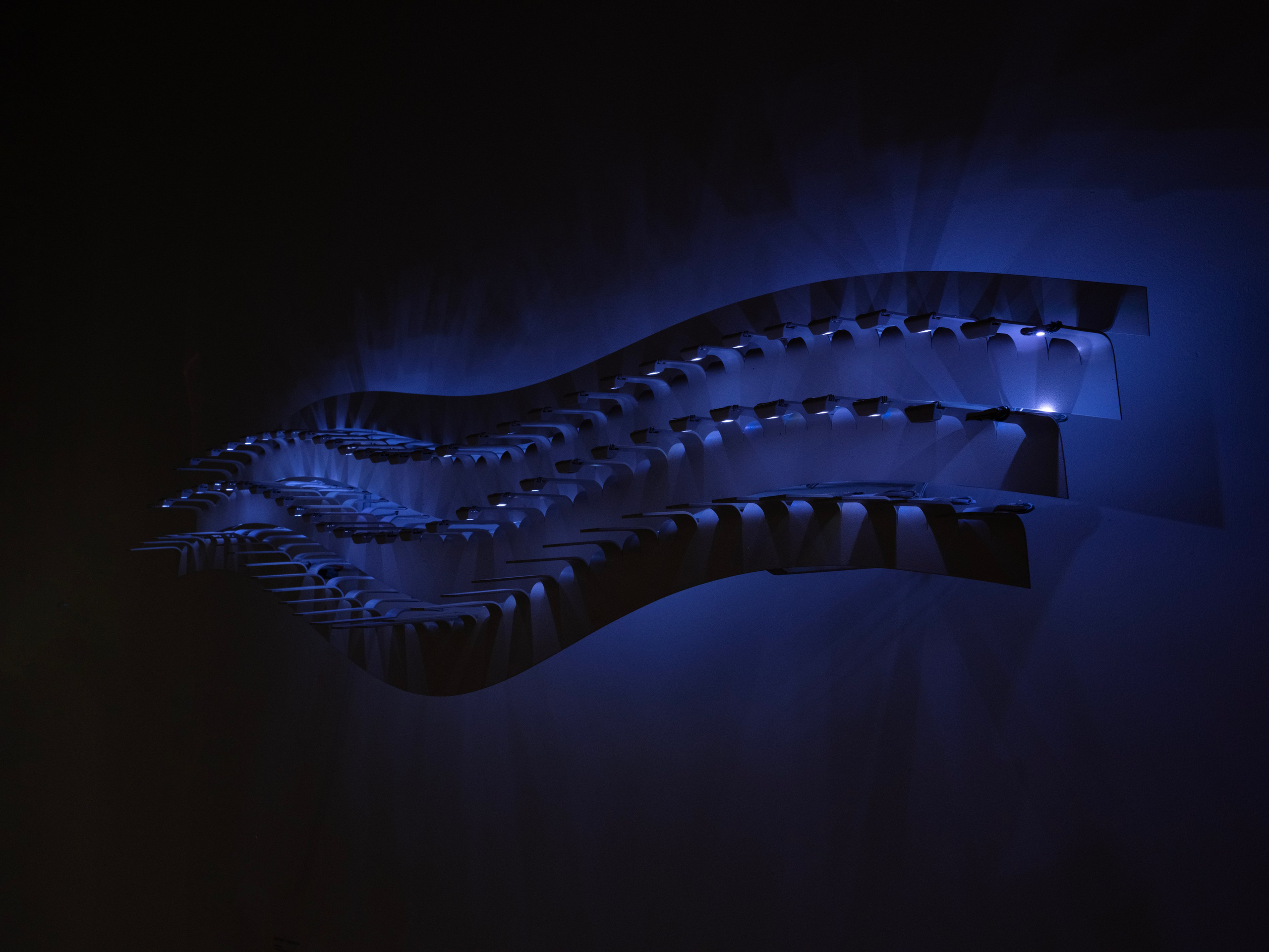 Дивный сад. Елизавета Иванова — независимый куратор, культуролог, исследователь художественных практик, художник