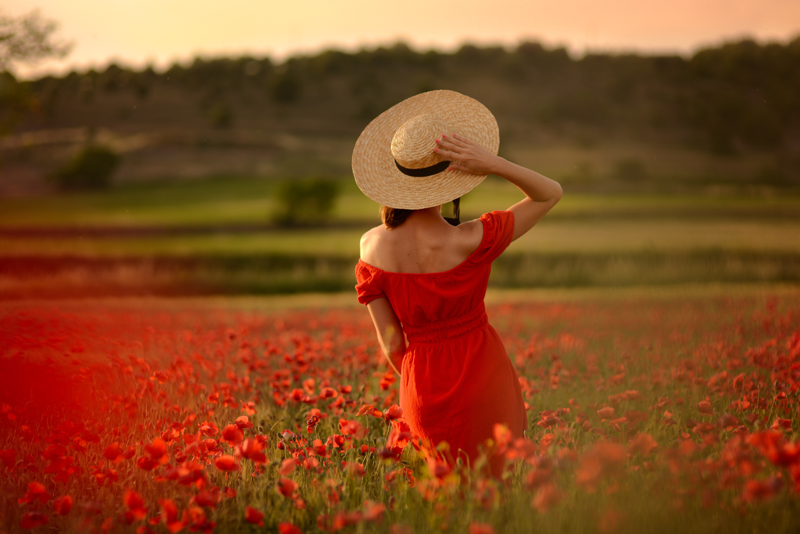 Provence. Photographer in Provence Julia Lipiainen