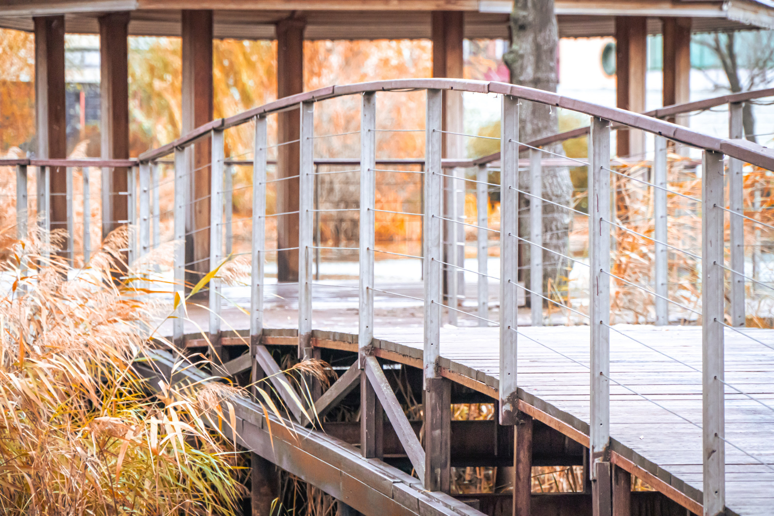 Открытие 5 вёрст 16.11.2024