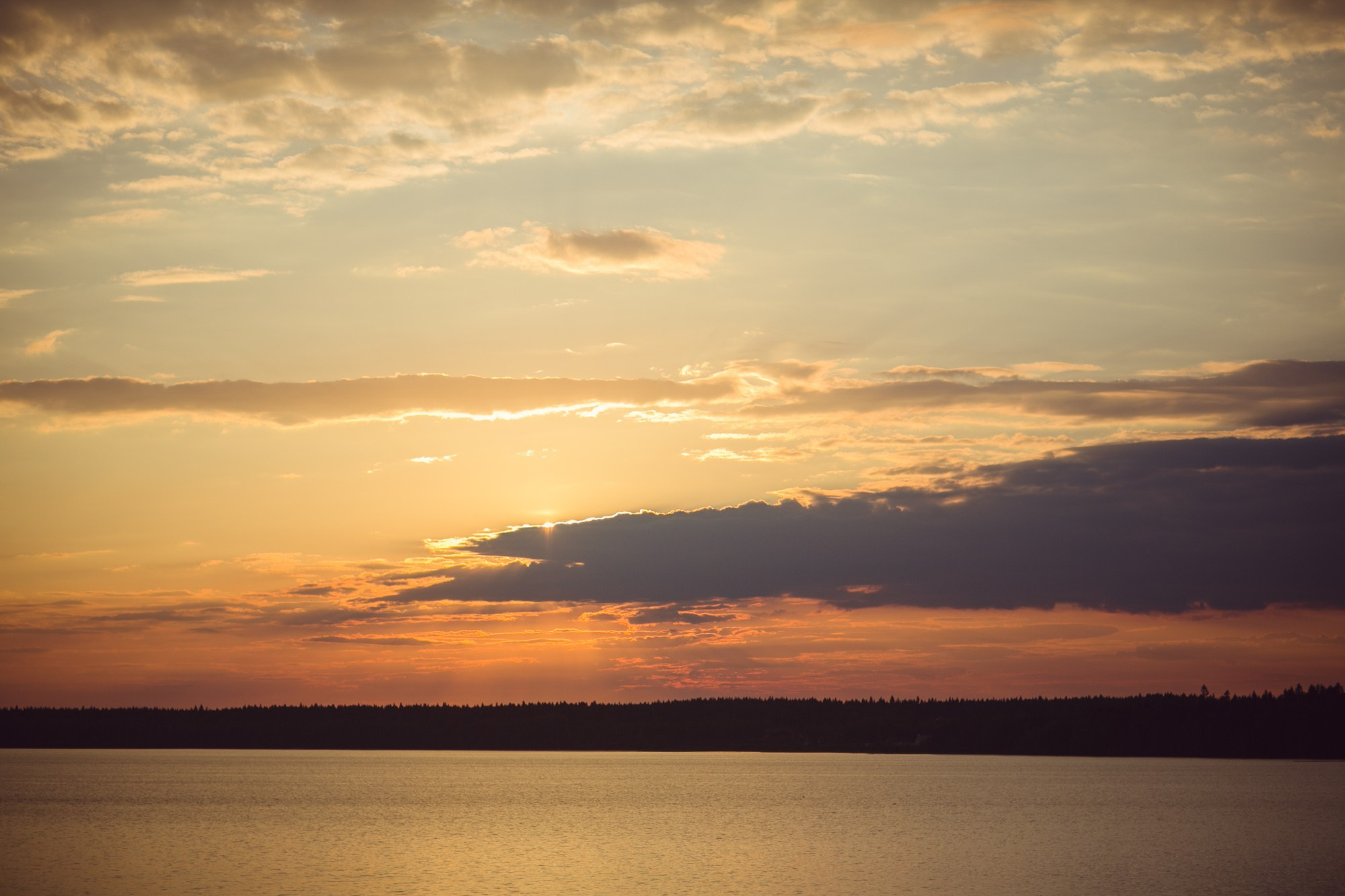 Свадьба в стиле «Рустик». Семейный, портретный и свадебный фотограф в Санкт-Петербурге и Москве