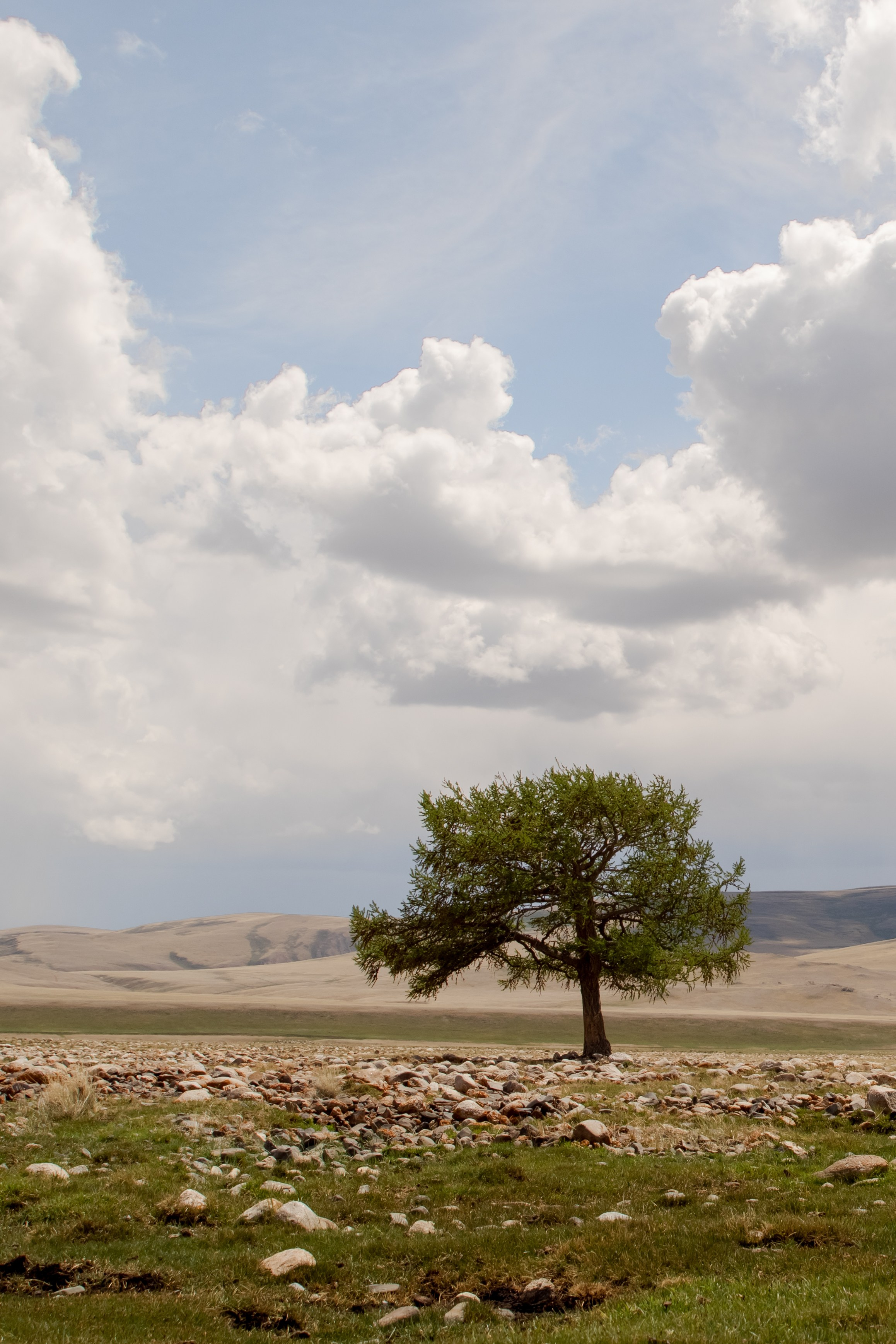 Горный Алтай. Фотограф Кирилл Мешков Кемерово