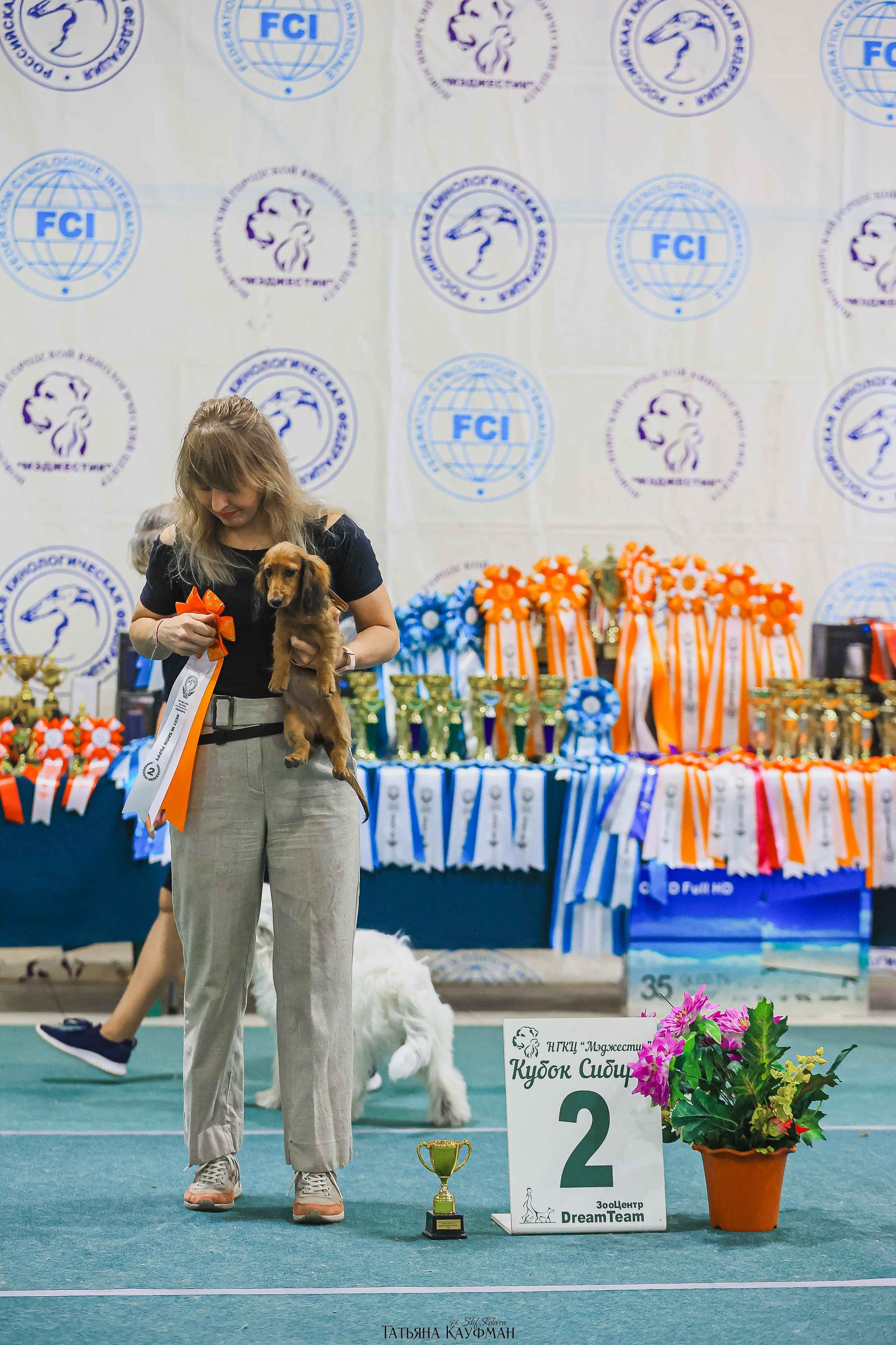 13.07.25 2х выставки собак. Новосибирск. «Кубок Сибири»