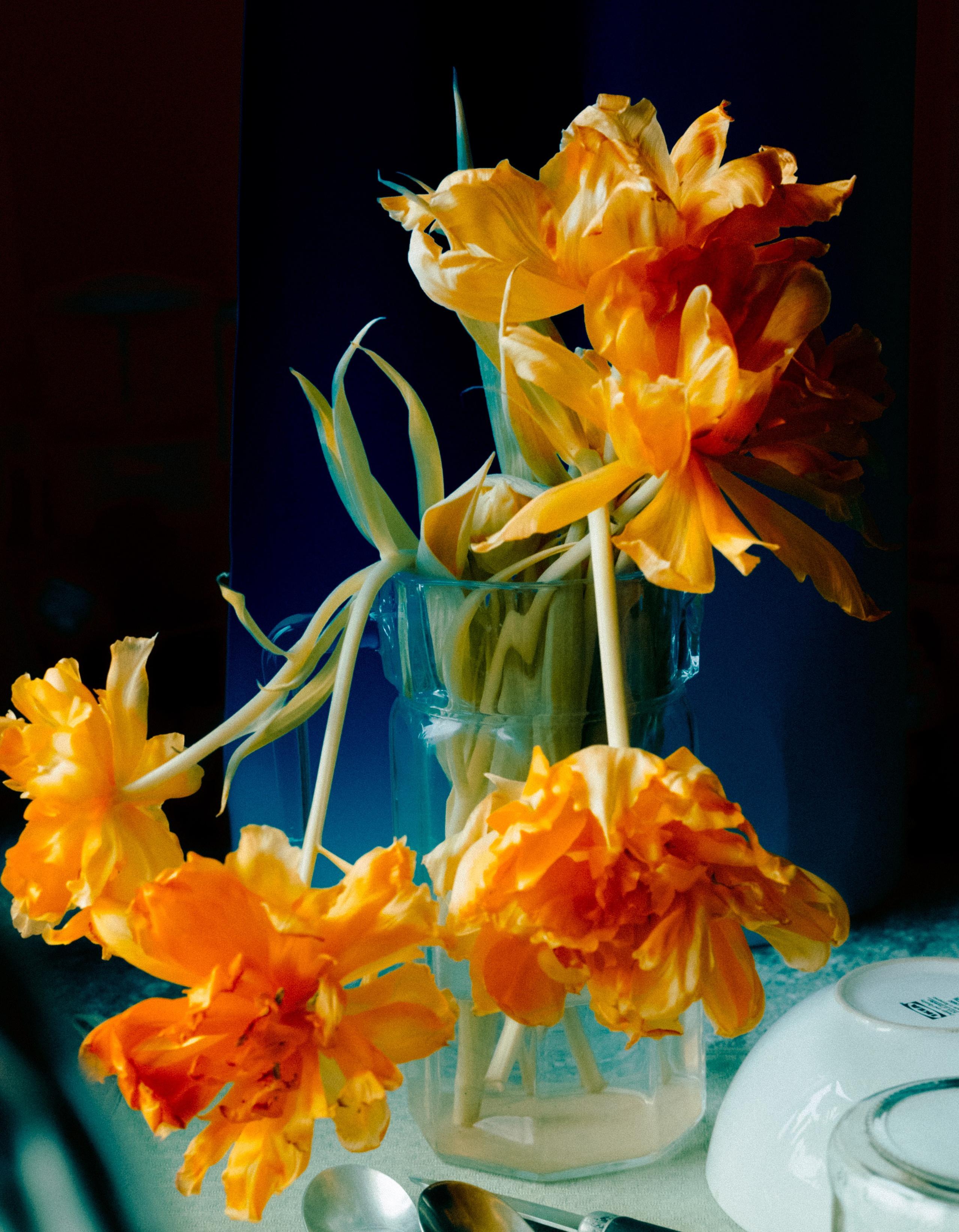 Курс по творческой обработке. ARTDARY | Фотограф Дарья Грицай