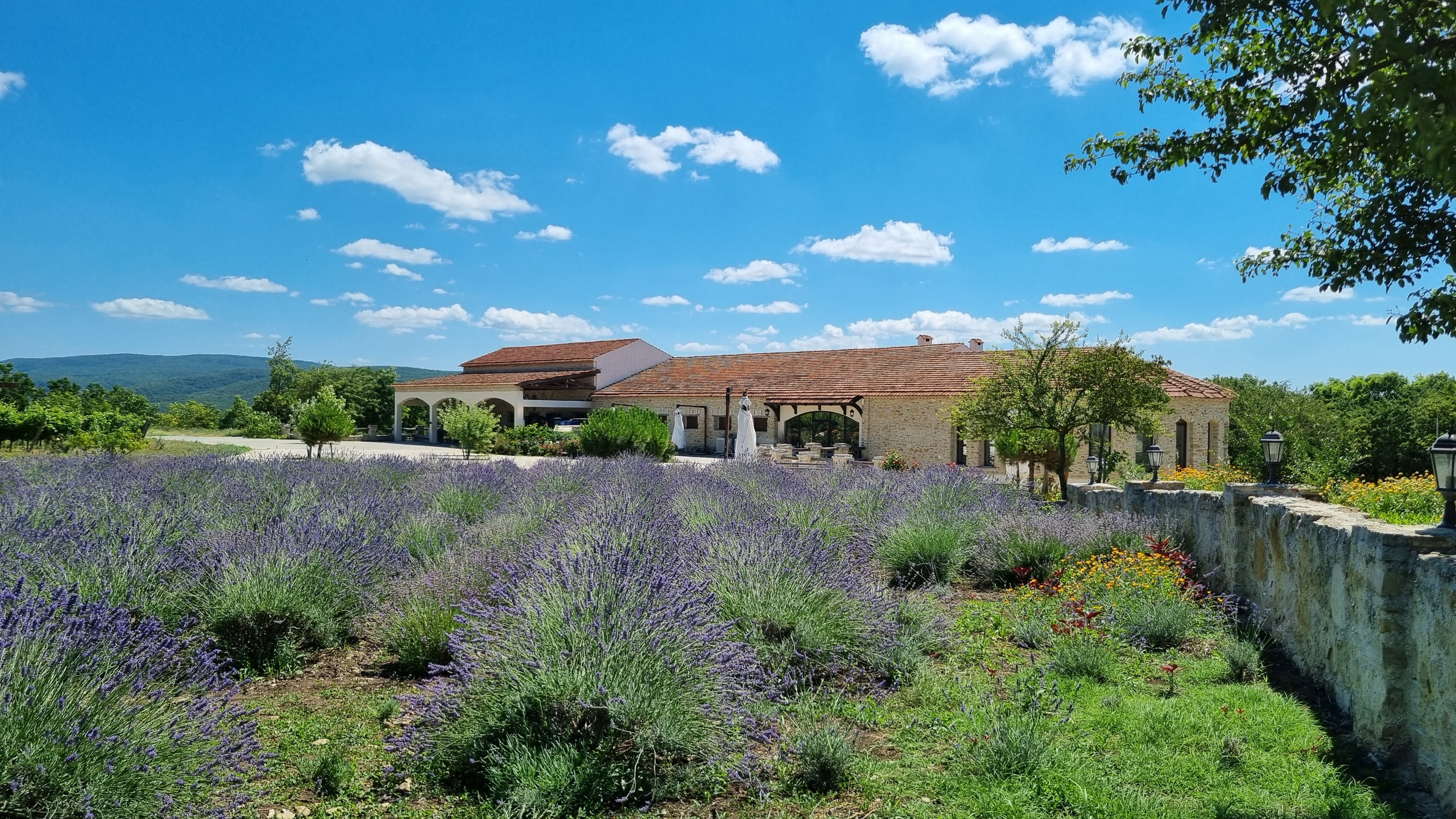 МЕСТА ДЛЯ ФОТОСЕССИИ В АНАПЕ. Свадебный и семейный фотограф/видеограф в Краснодаре Наталья Осинская