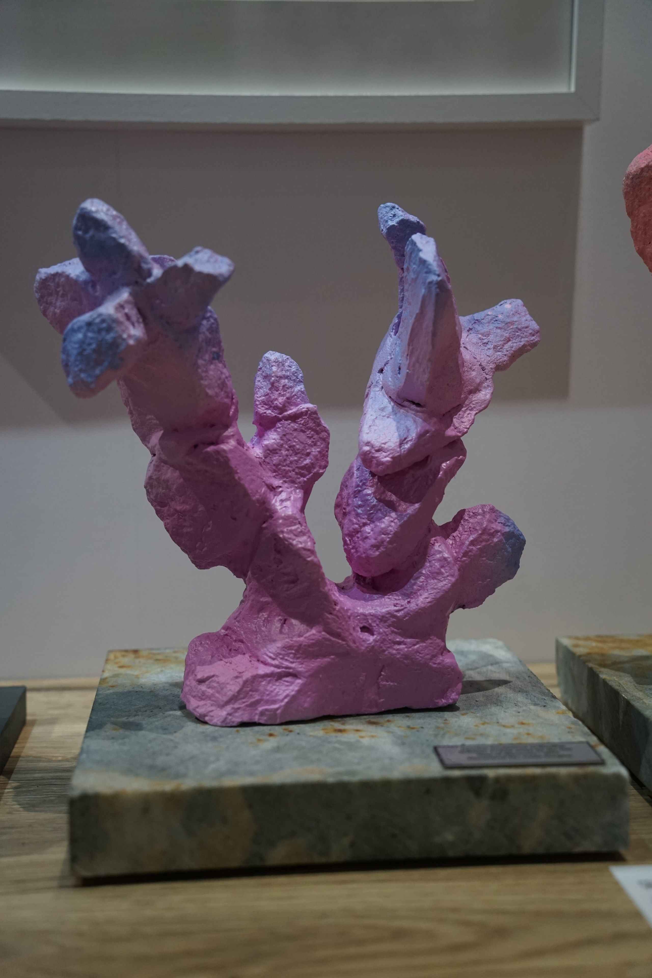 SCAN fair. Artist Anna Snegina Художница Анна Снегина