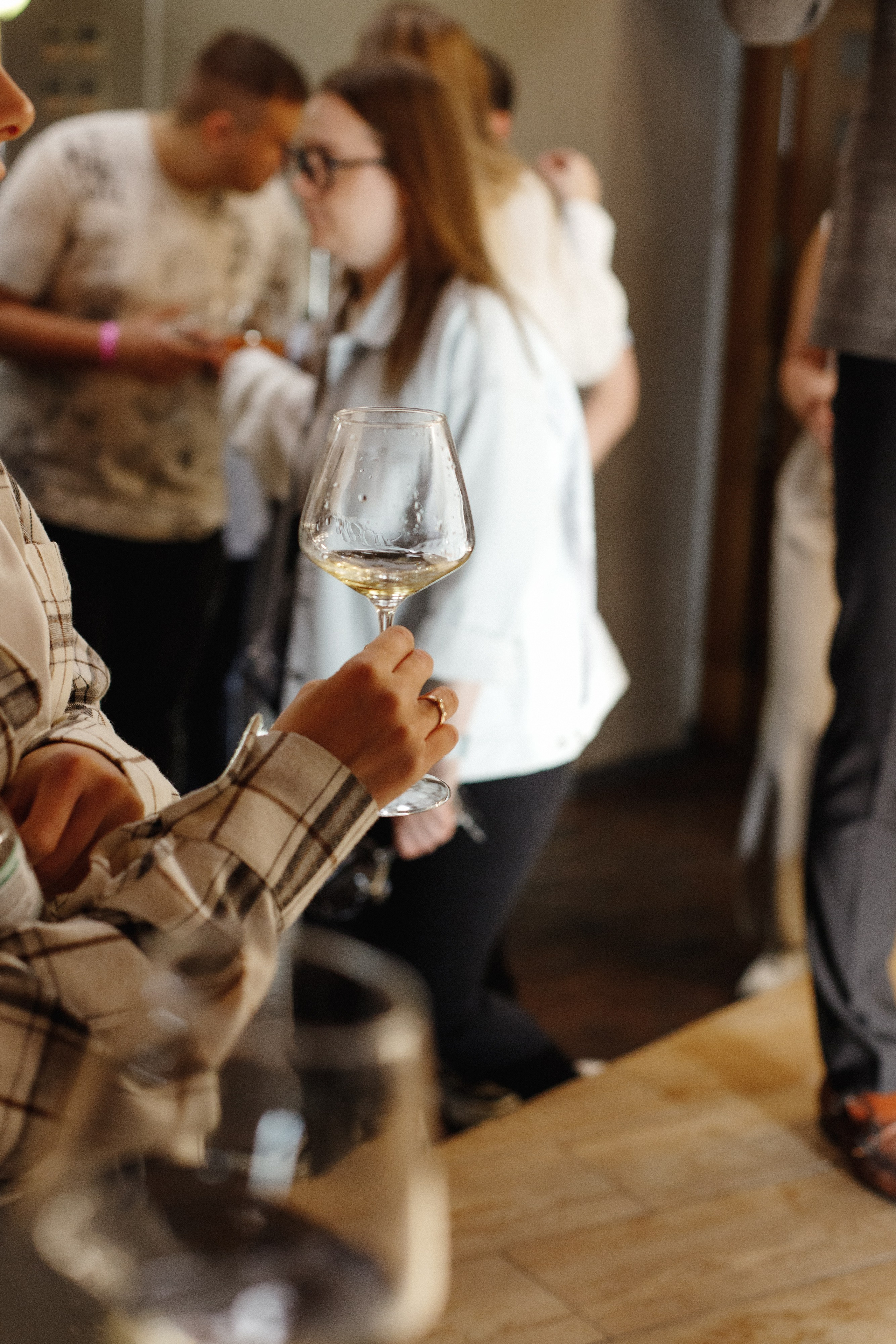 ФЕСТИВАЛЬ ИГРИСТЫХ ВИН. СВОИ. ФОТООТЧЕТЫ-СОБЫТИЯ-МЕСТА